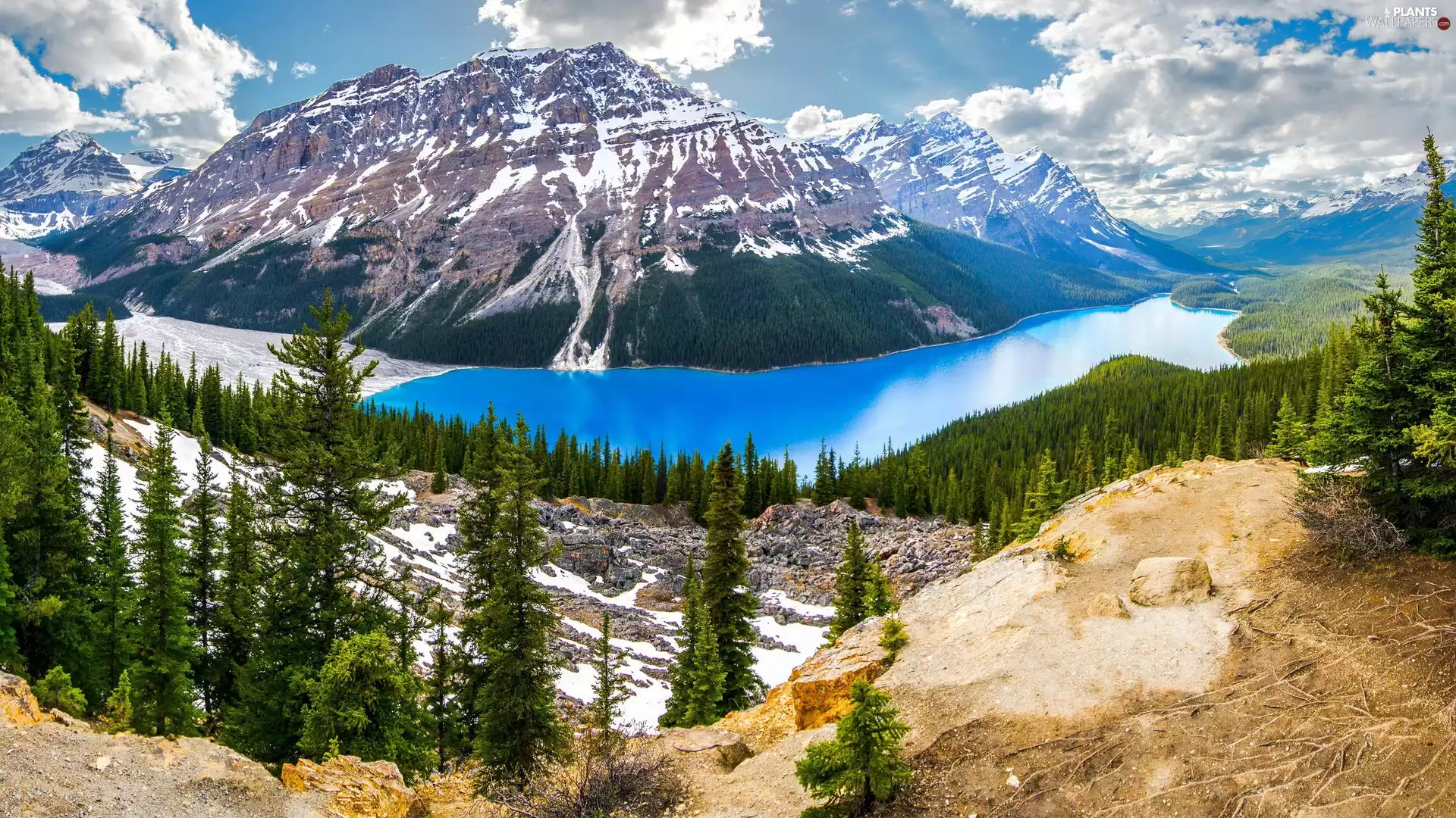 Park, Peyto, Canada, Lake, lake, national, Mountains