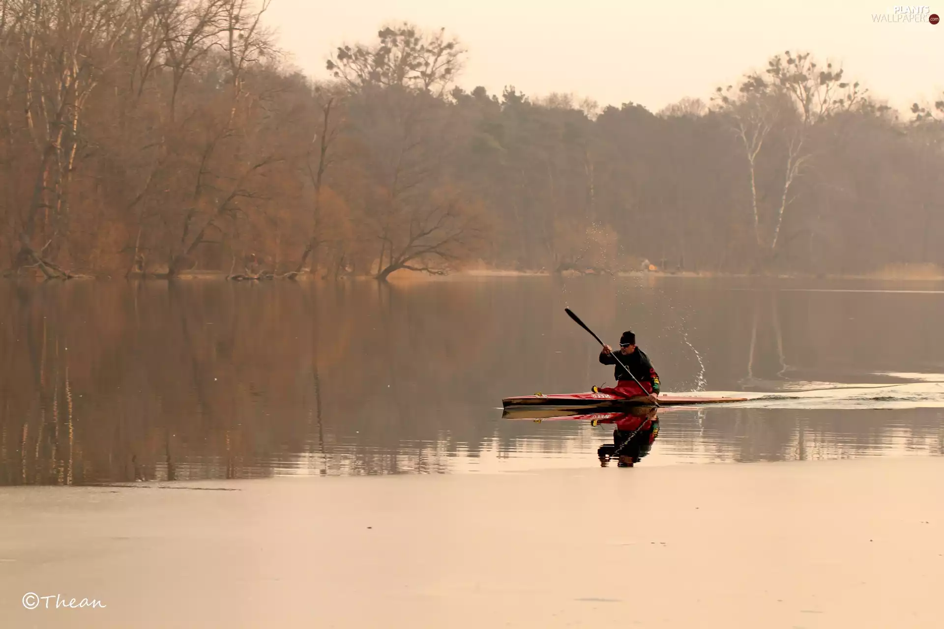 canoeist, trees, viewes, lake