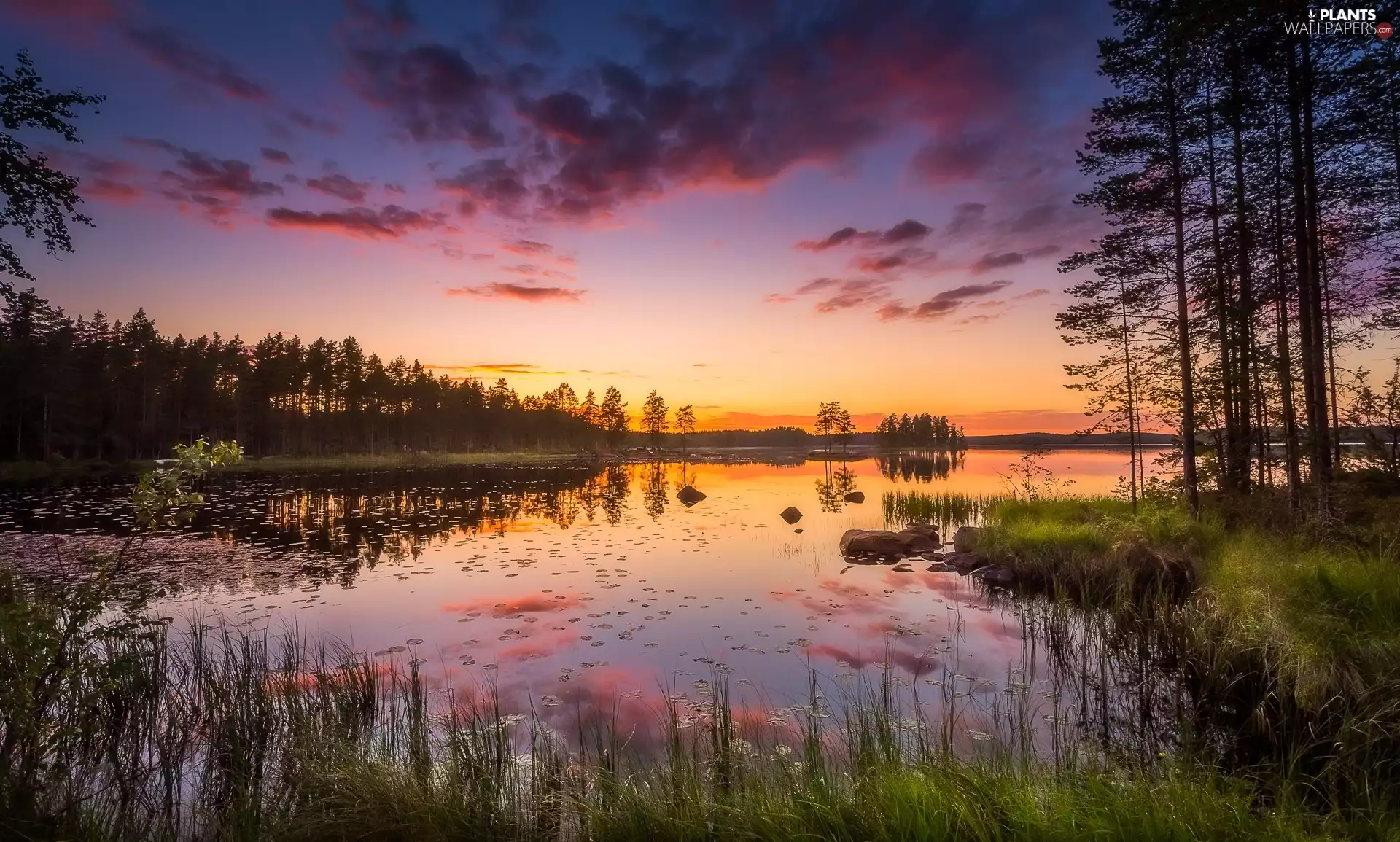 Municipality of Ruovesi, Finland, Helvetinjärvi National Park, Lake Haukkajärvi, Great Sunsets, clouds, viewes, grass, trees