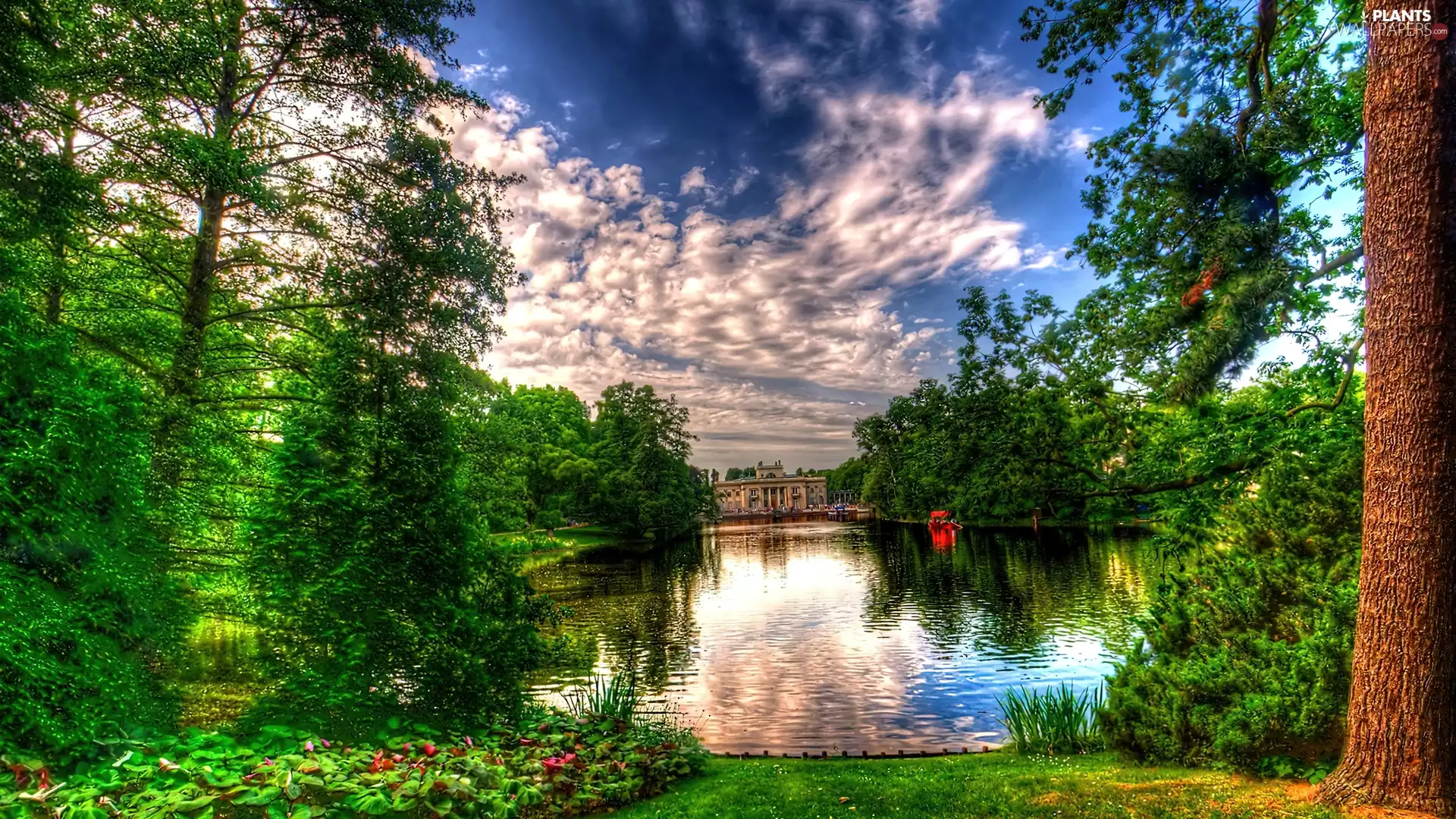clouds, trees, viewes, lake
