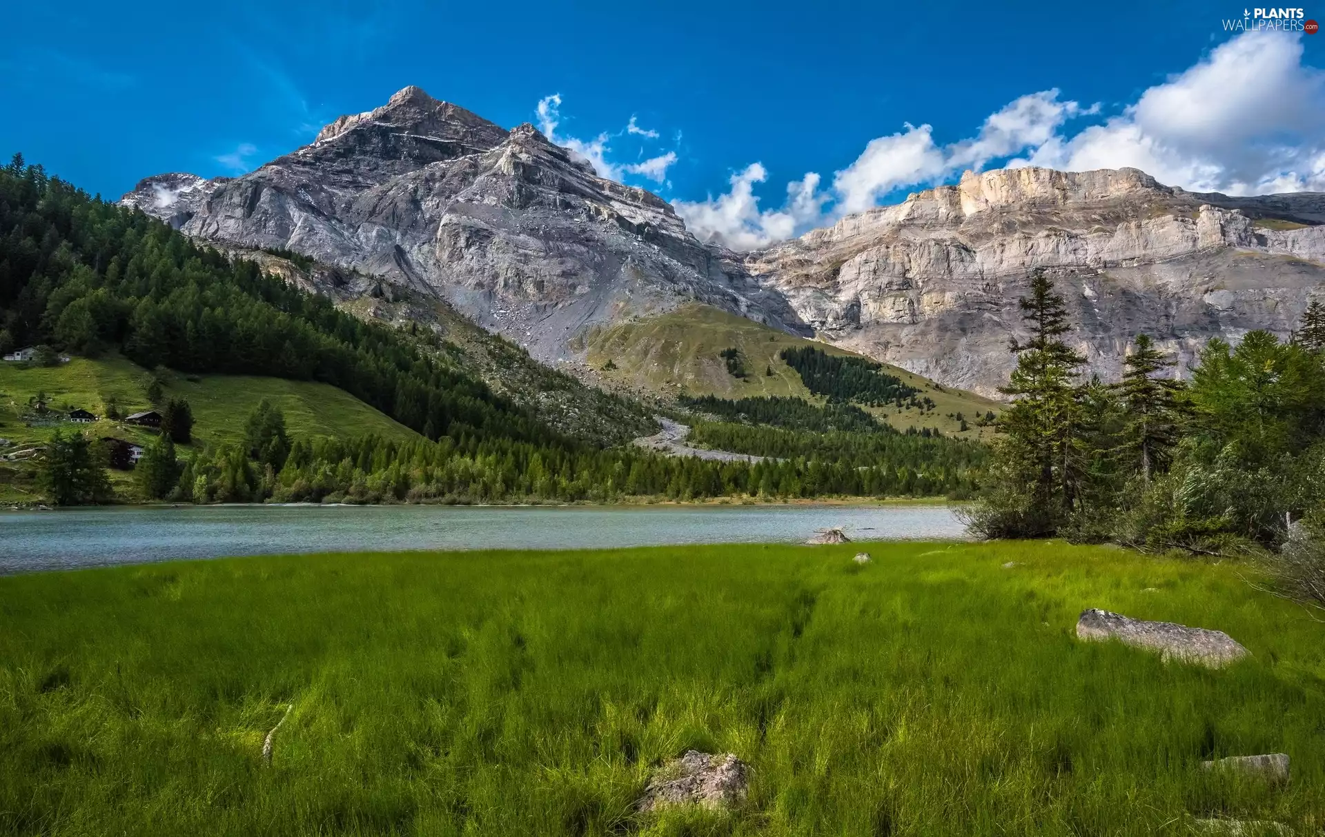 Canton of Valais, Switzerland, Bernese Alps, Les Diablerets Range, Spruces, grass, Mountains, River, Lac de Derborence Lake