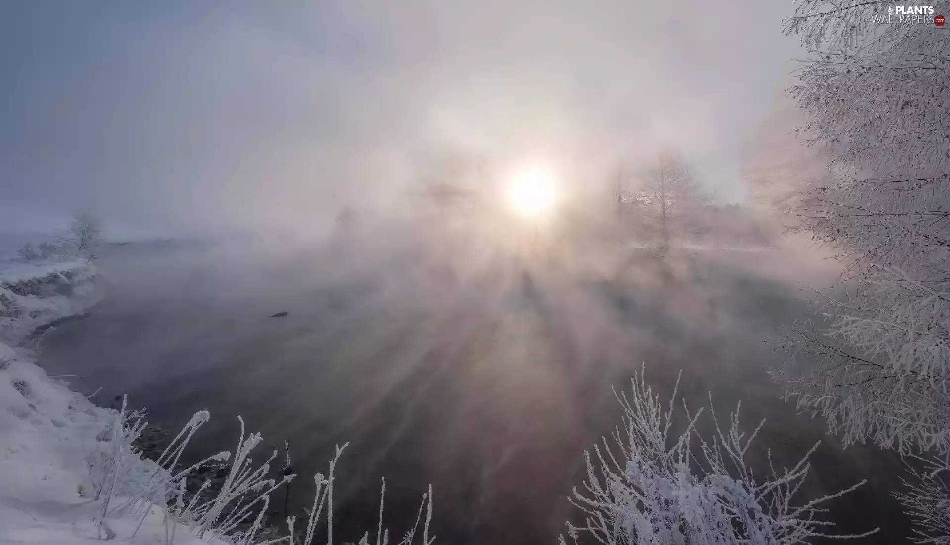Sunrise, winter, viewes, lake, trees, Fog