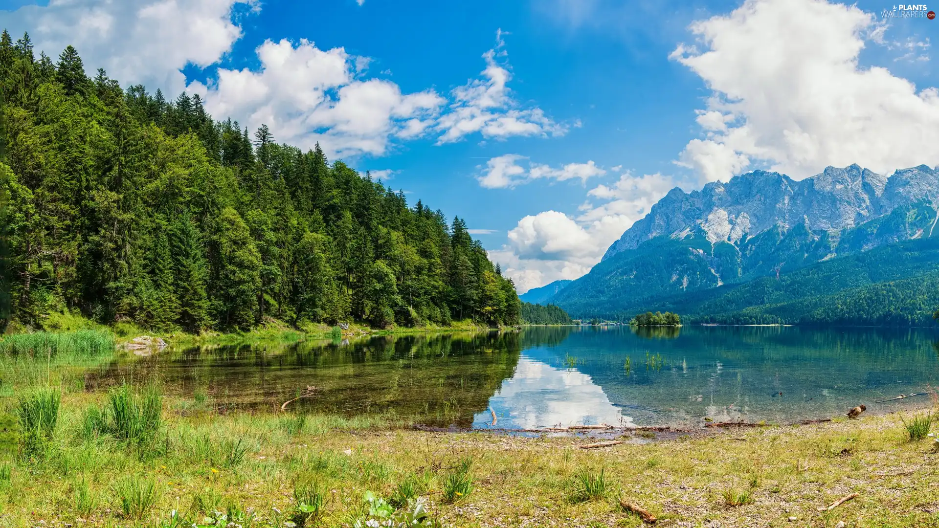 trees, reflection, forest, lake, Mountains, viewes, clouds