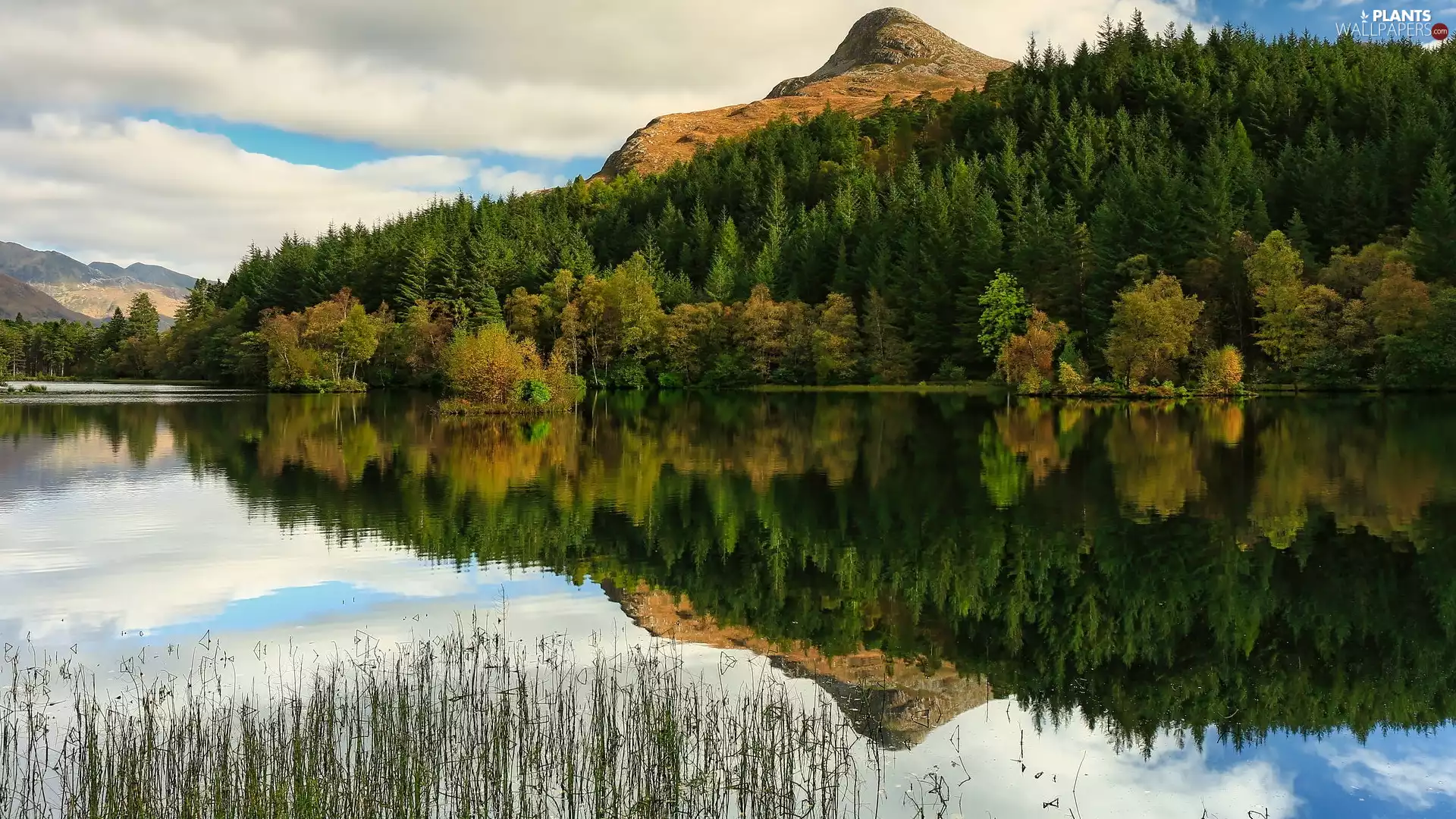lake, Mount Pap of Glencoe, reflection, forest, Mountains, grass, Scotland