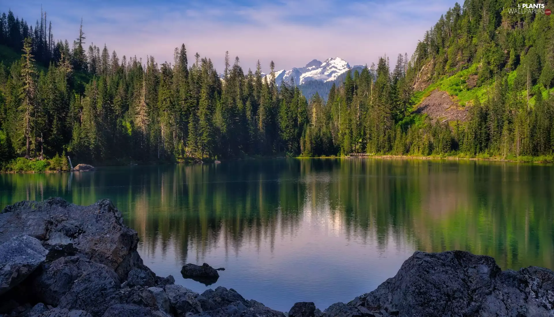 forest, Mountains, viewes, lake, trees, Hill