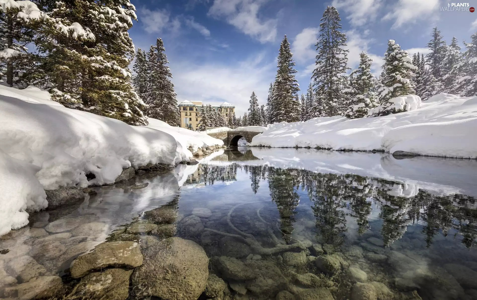 bridge, River, Stones, Lake Louise, City Lake Louise, Snowy, winter, Canada, Spruces, Hotel Chateau Lake Louise, Banff National Park, Province of Alberta