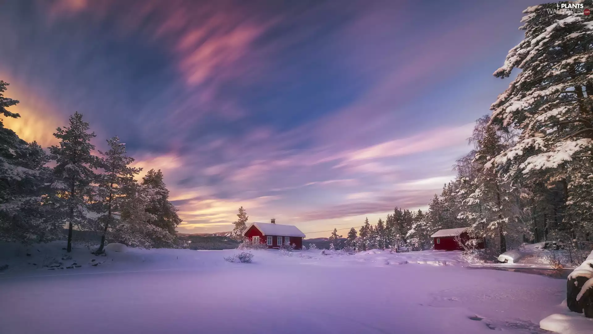 trees, Ringerike, Houses, lake, Norway, viewes, winter