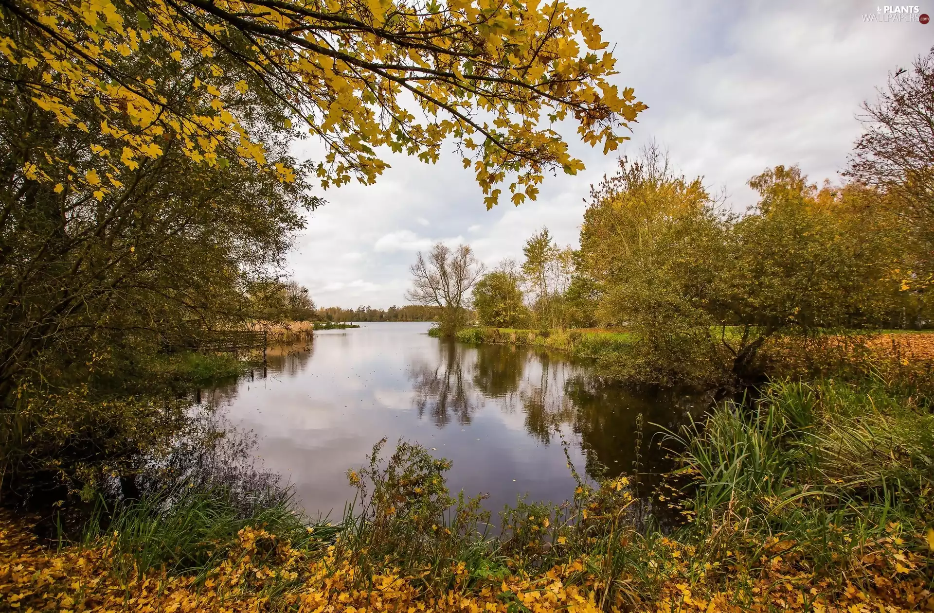 autumn, Municipality of Condé-sur-Lescaut, viewes, Lake Étang de Chabaud-Latour, France, trees, Leaf