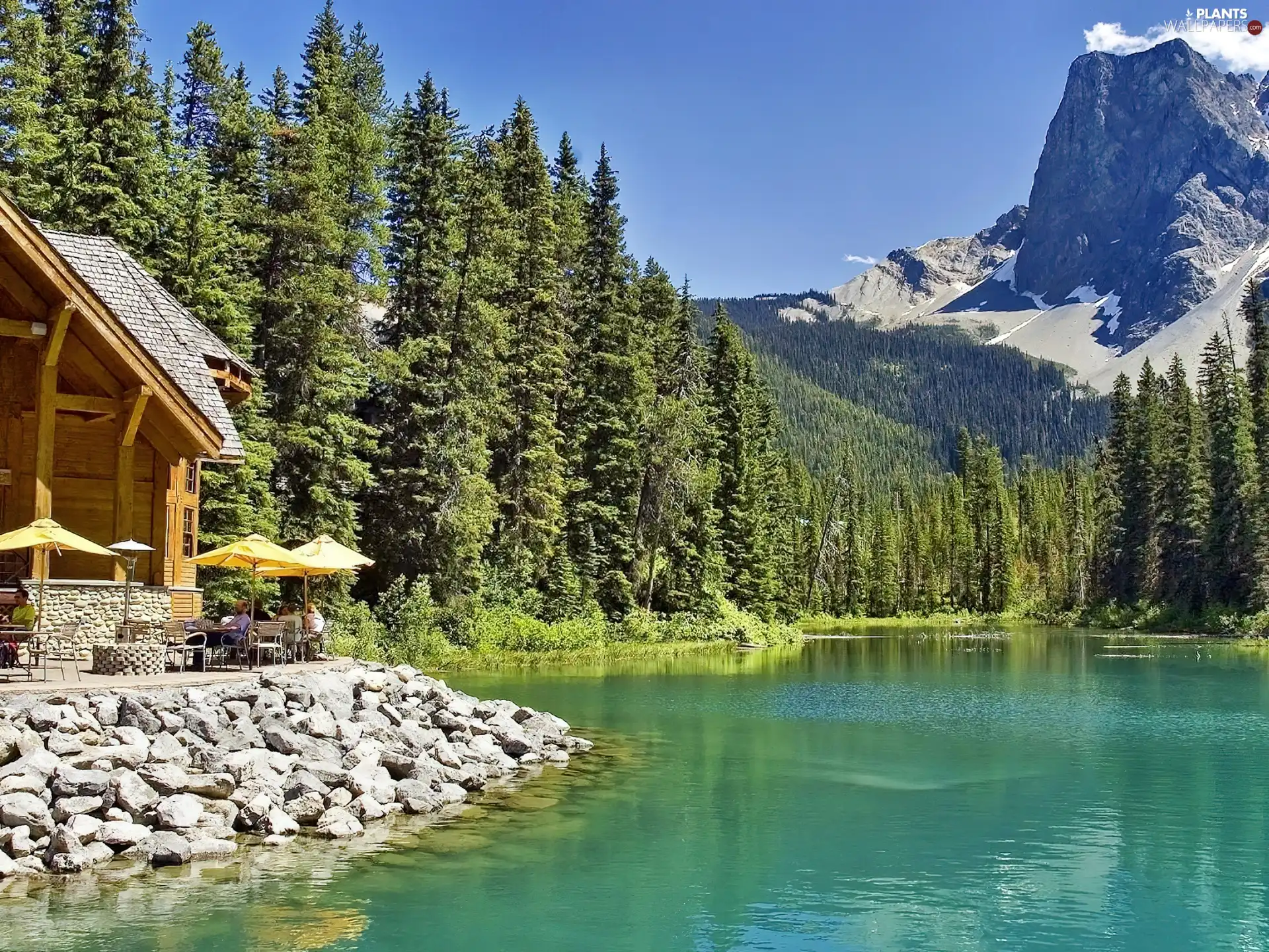 Mountains, by, lake, Restaurant
