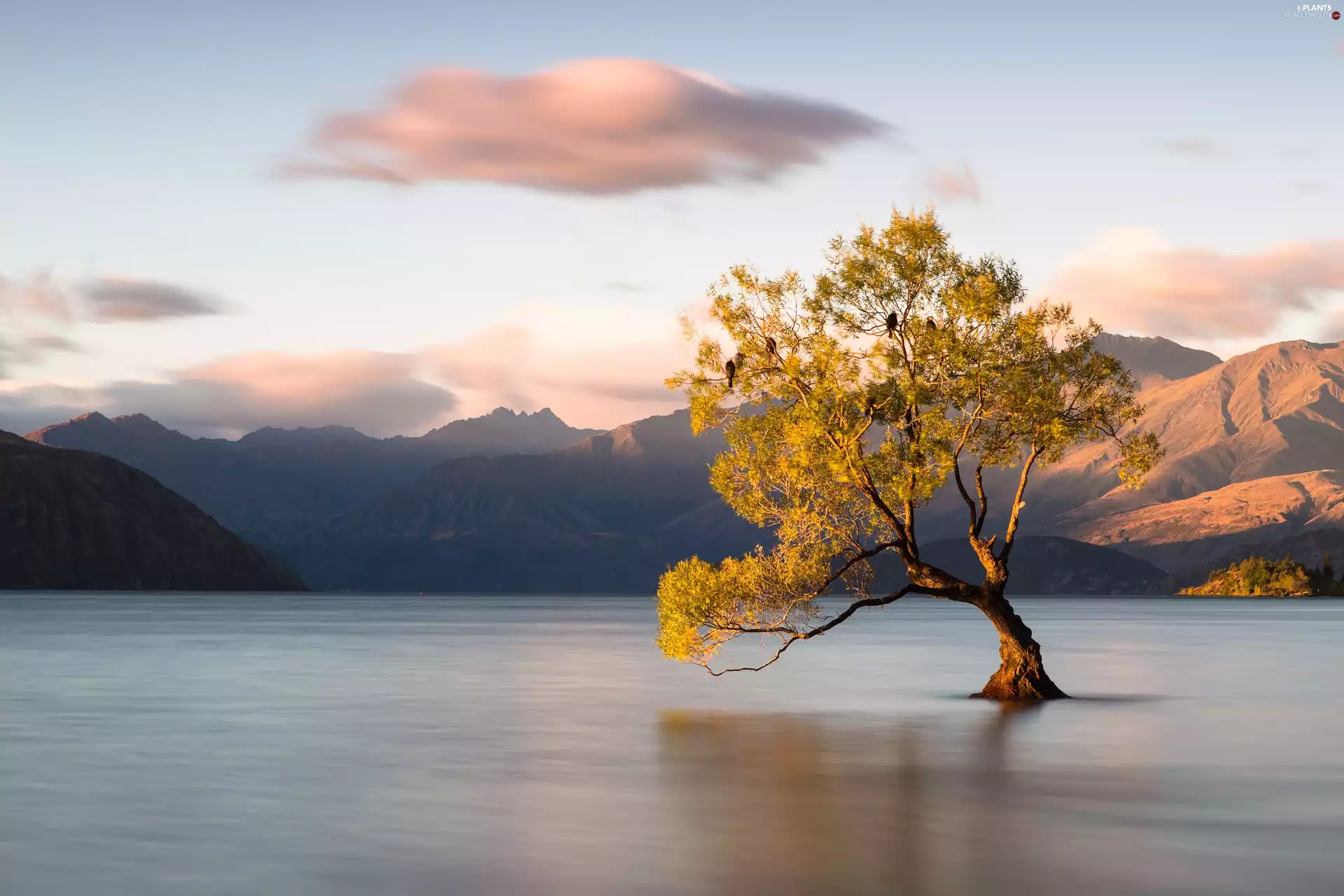 Mountains, trees, clouds, lake