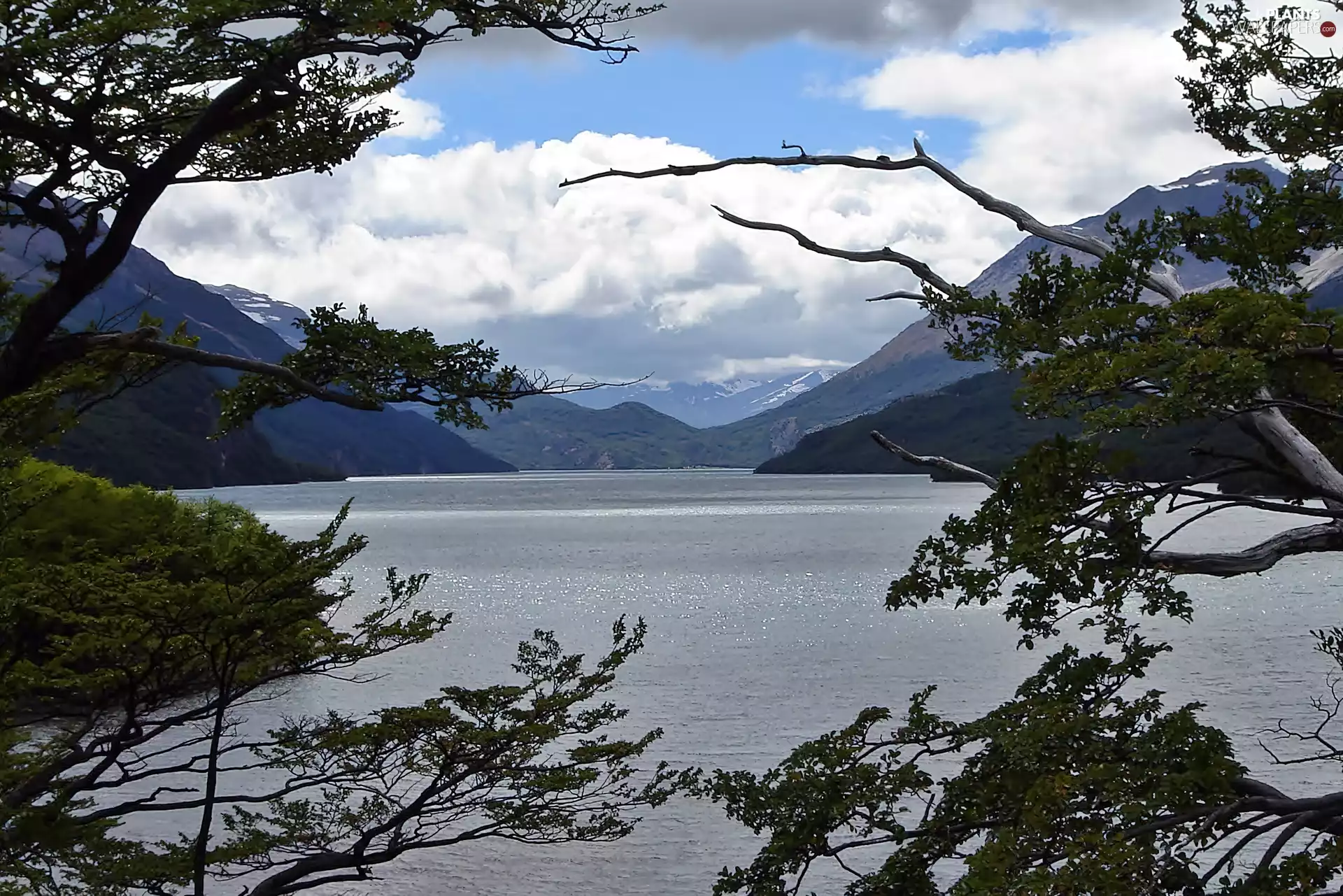 Mountains, woods, clouds, lake