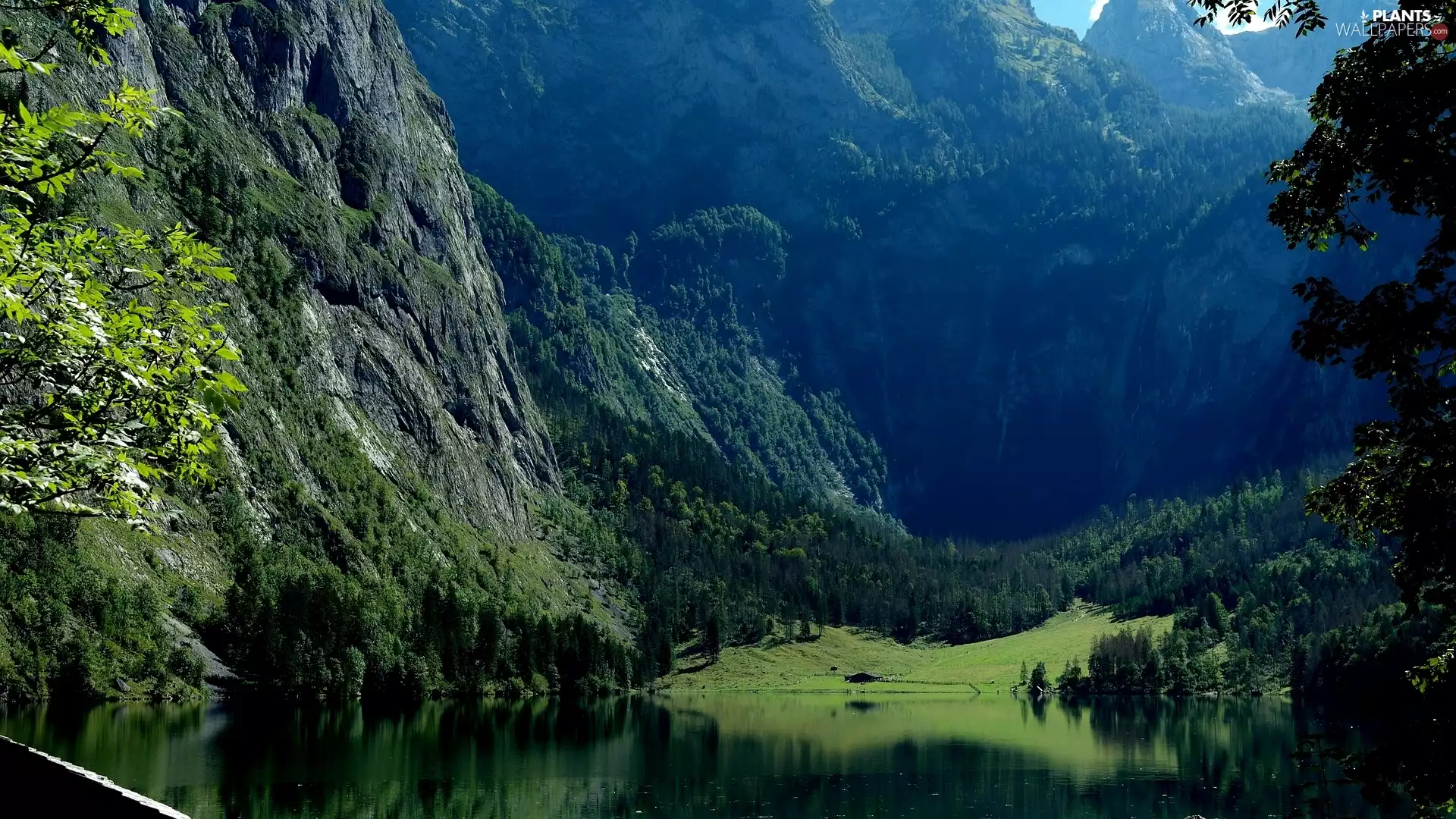 Berchtesgaden National Park, Lake Koenigssee, woods, trees, Bavaria, Germany, Mountains, Berchtesgaden Alps, viewes