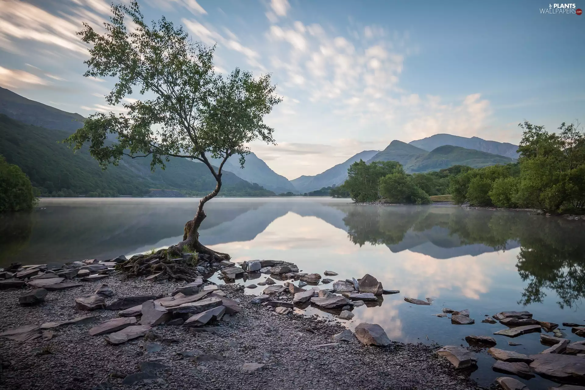 Mountains, curves, trees, lake