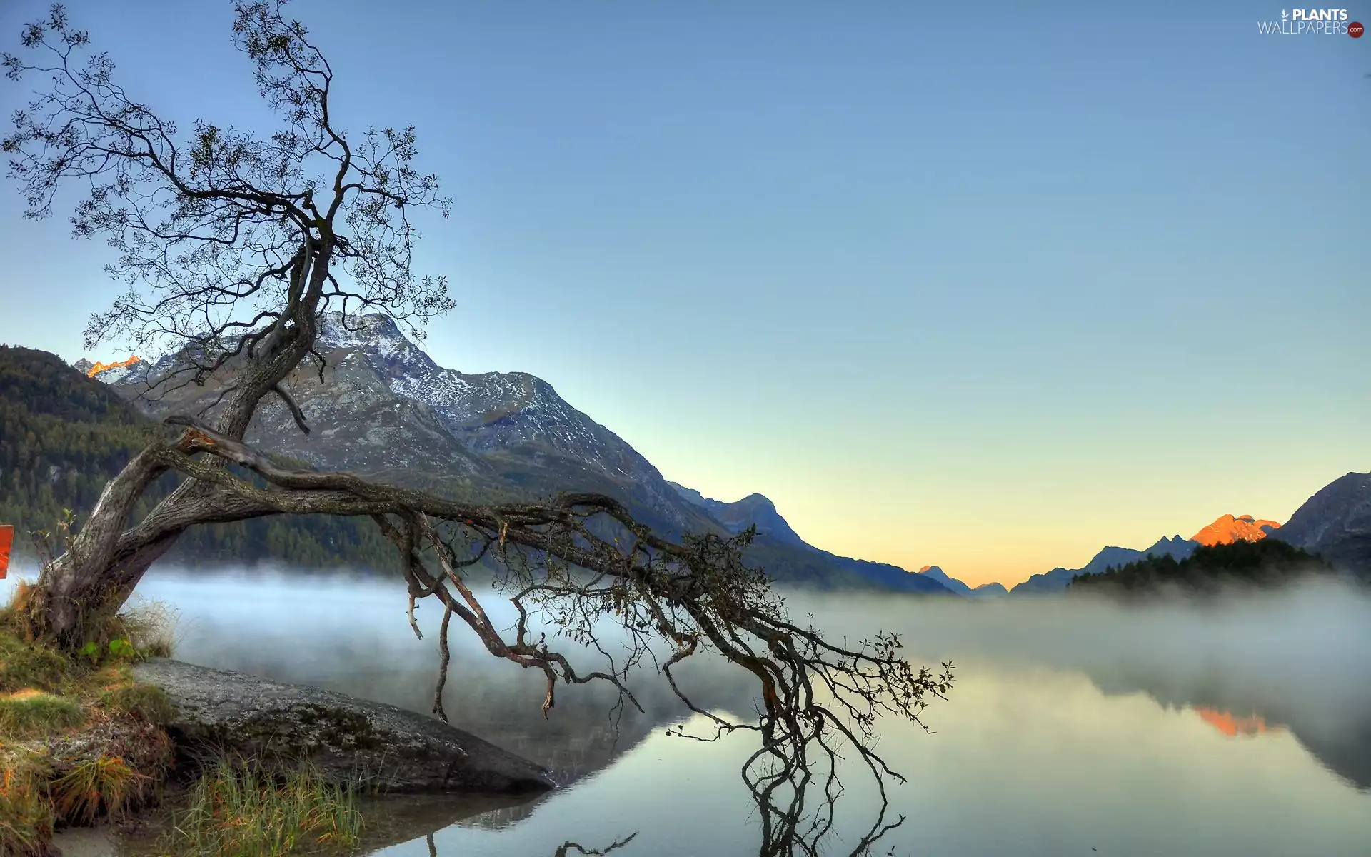 Mountains, Fog, trees, lake