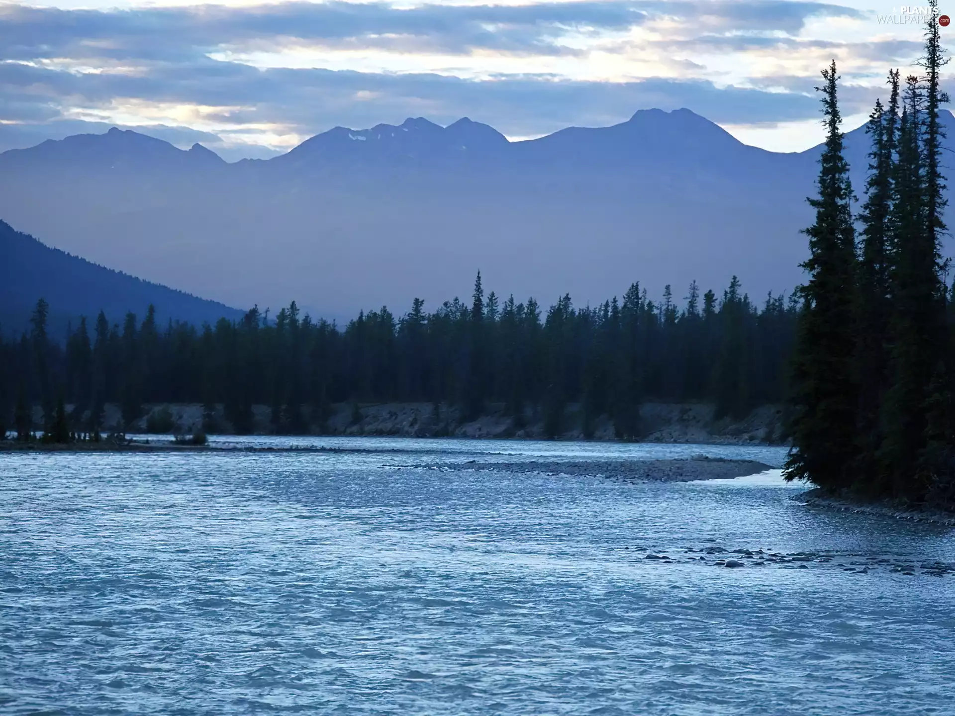 Mountains, trees, viewes, lake