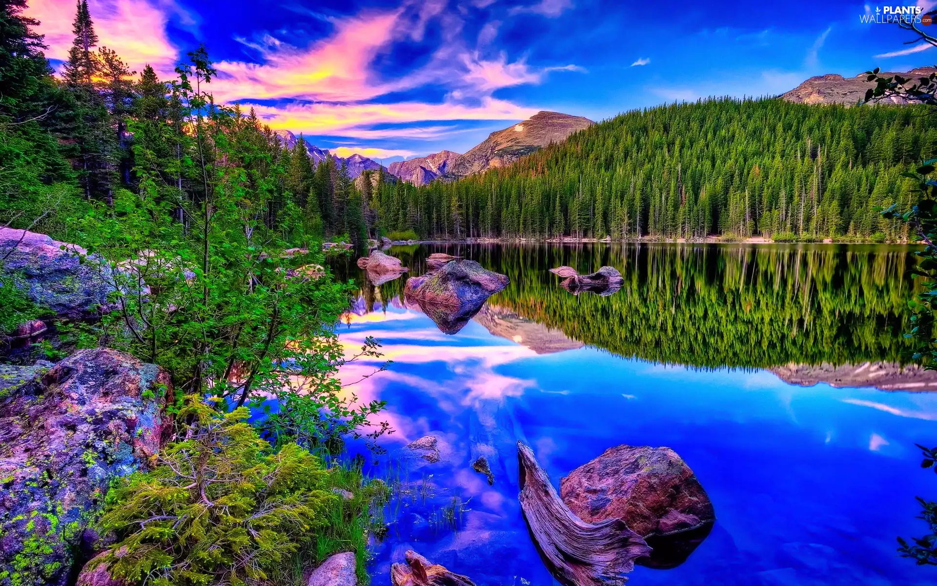 Mountains, trees, viewes, lake