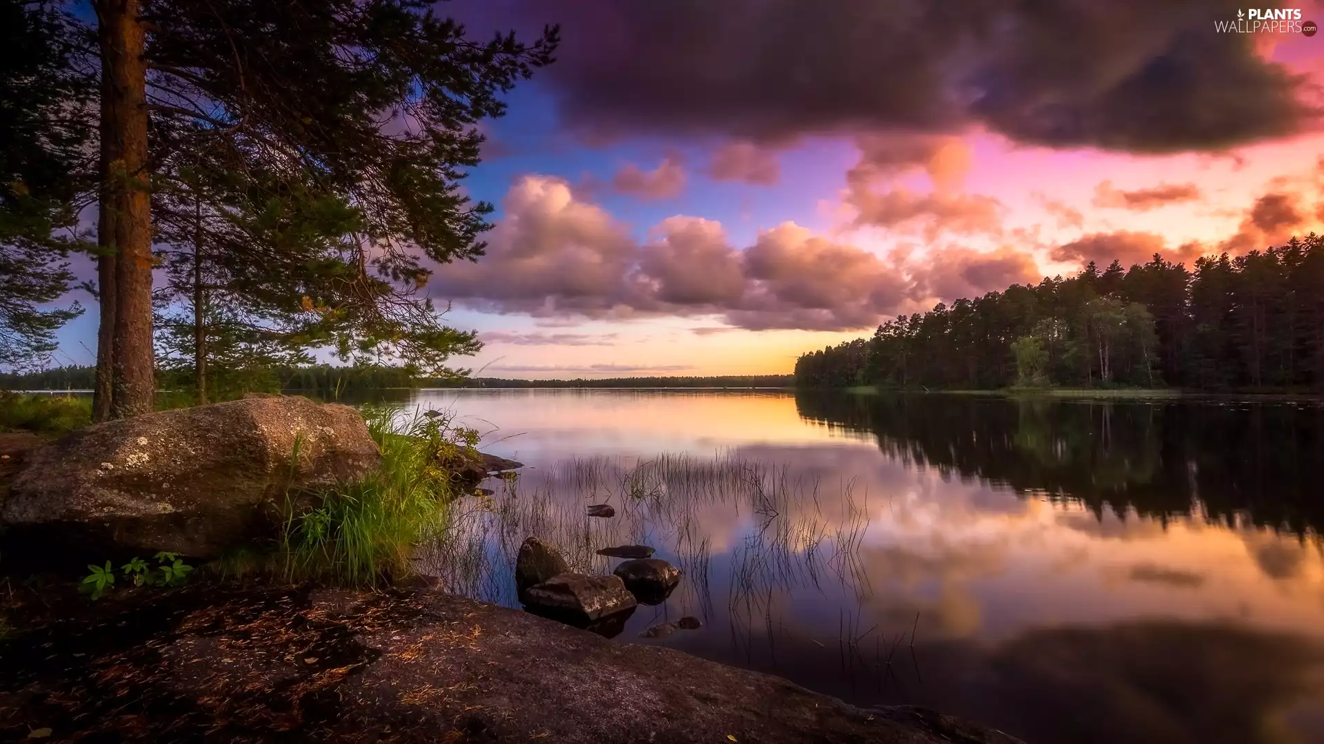 Lake Hankavesi, Finland, trees, viewes, clouds, Municipality of Ähtäri