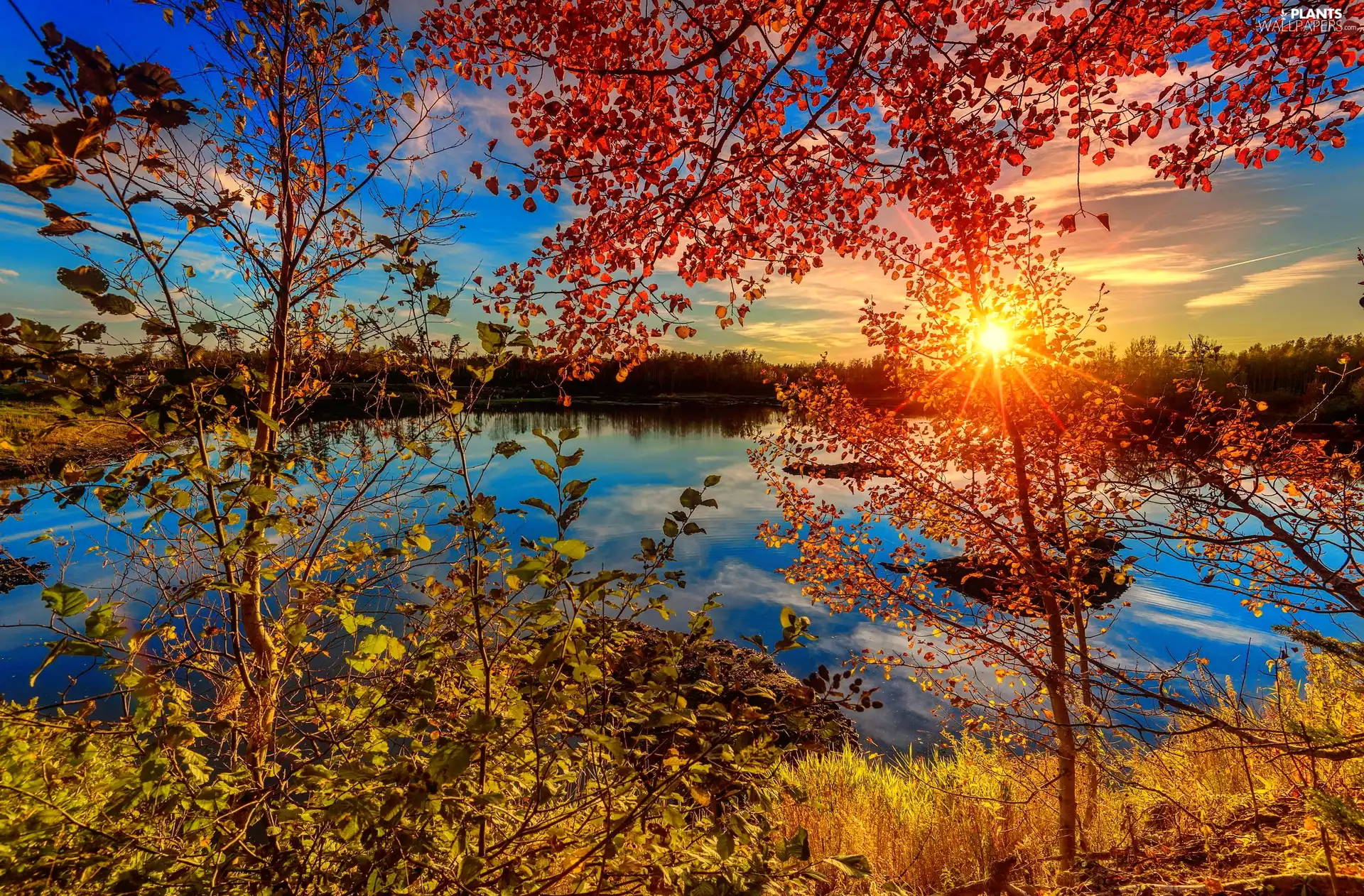 lake, Canada, trees, viewes, rays of the Sun, New Brunswick