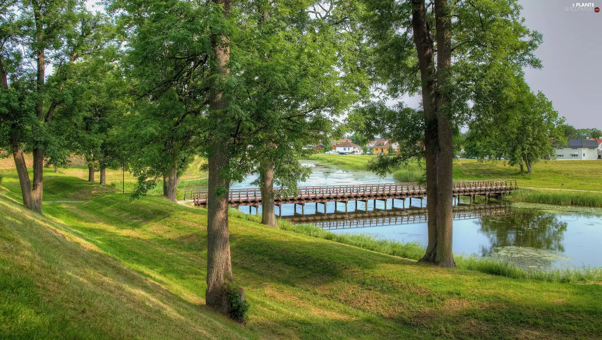 trees, viewes, Randsfjorden Lake, bridge, Norway