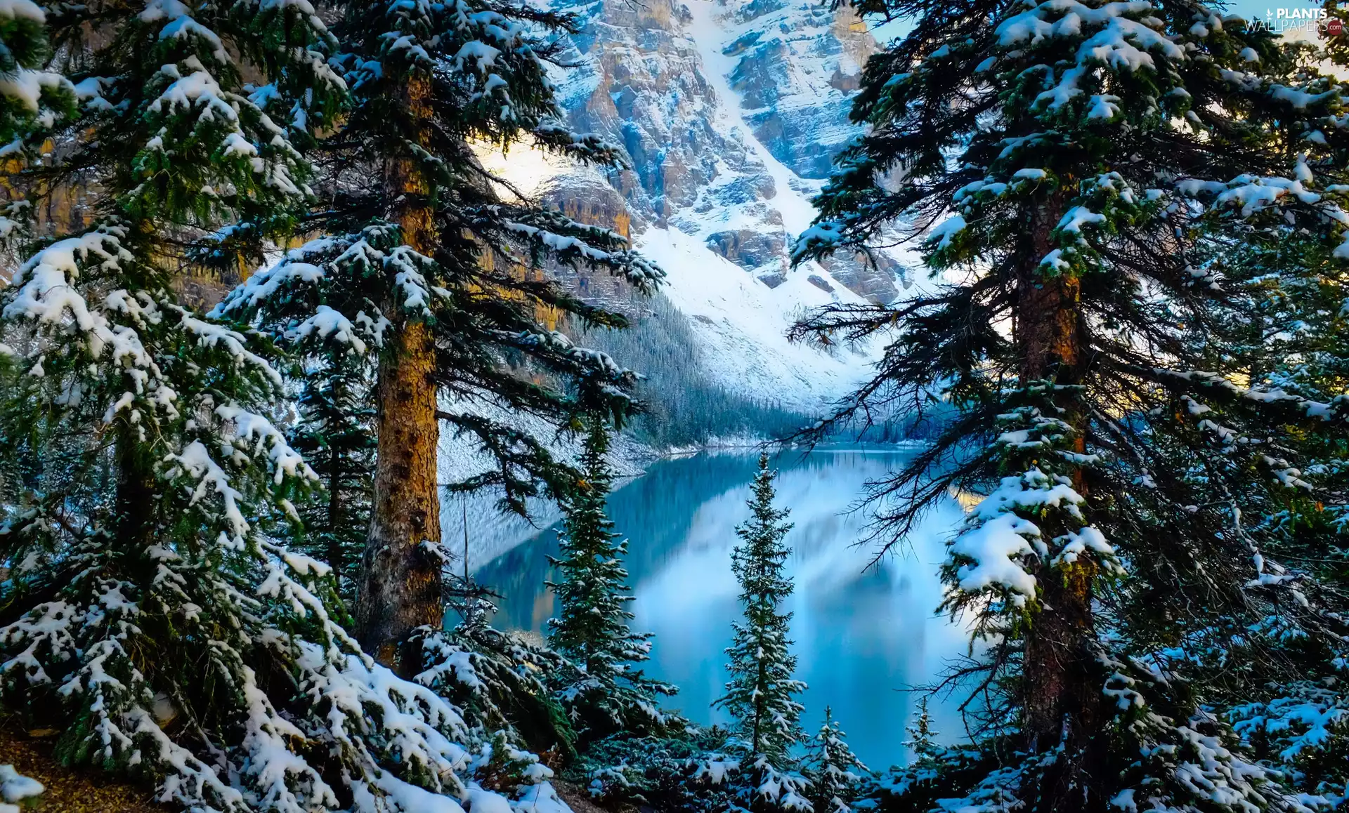 Banff National Park, Lake Moraine, winter, Mountains, viewes, Province of Alberta, Canada, trees