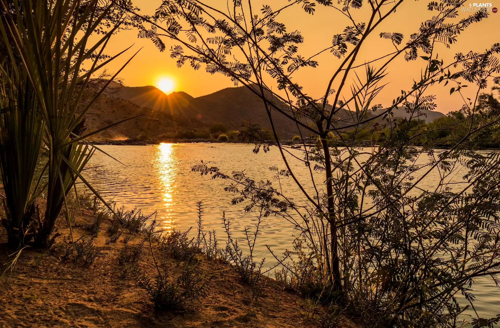 Mountains, rays of the Sun, trees, viewes, lake