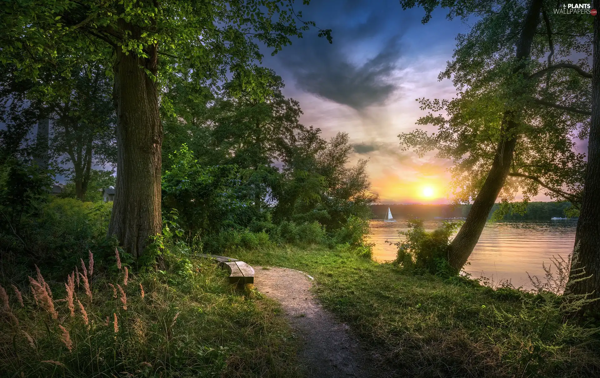 lake, Park, trees, viewes, clouds, Yacht, Path, Sunrise, Bench