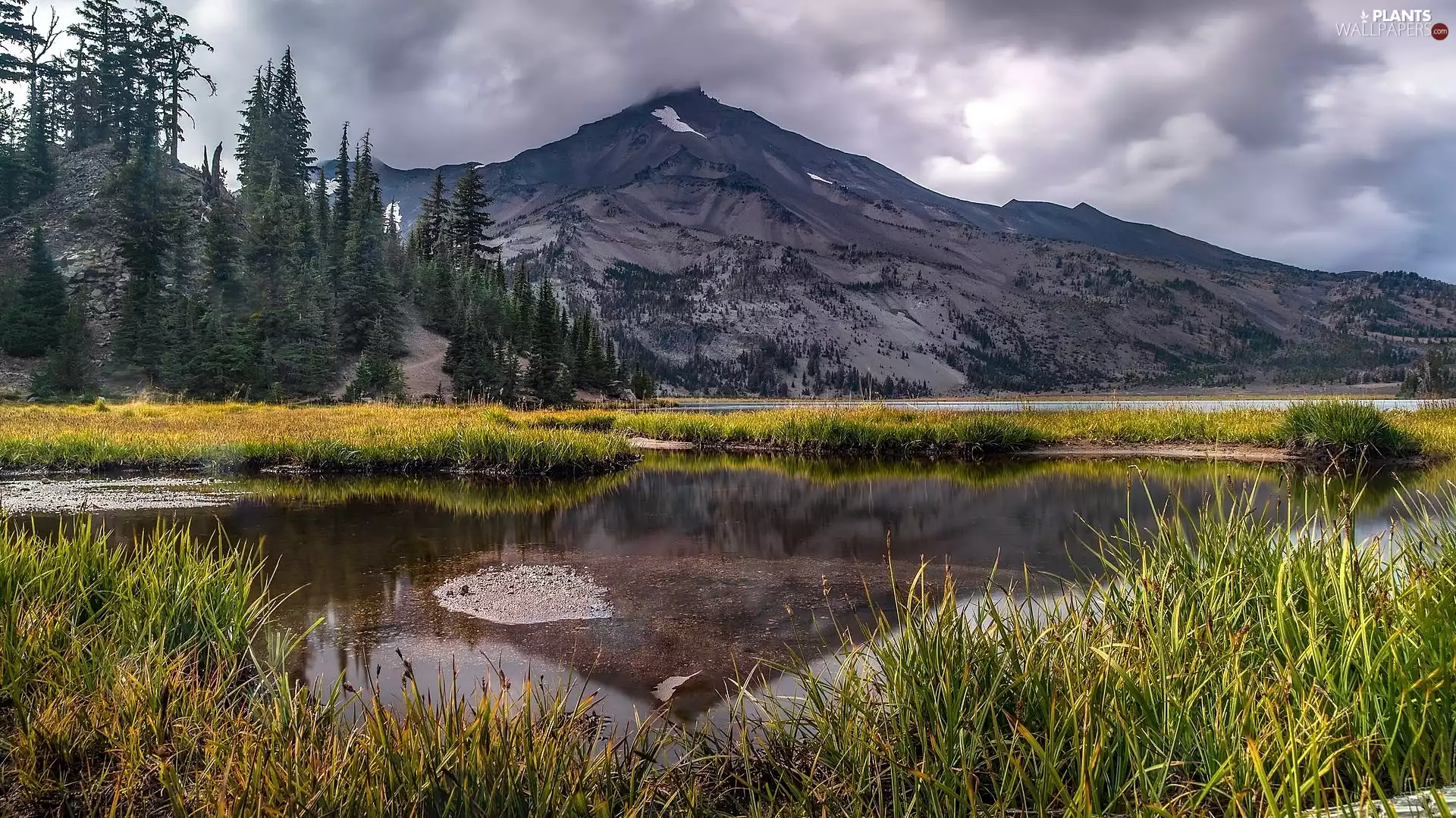 trees, reflection, puddle, lake, Mountains, viewes, grass
