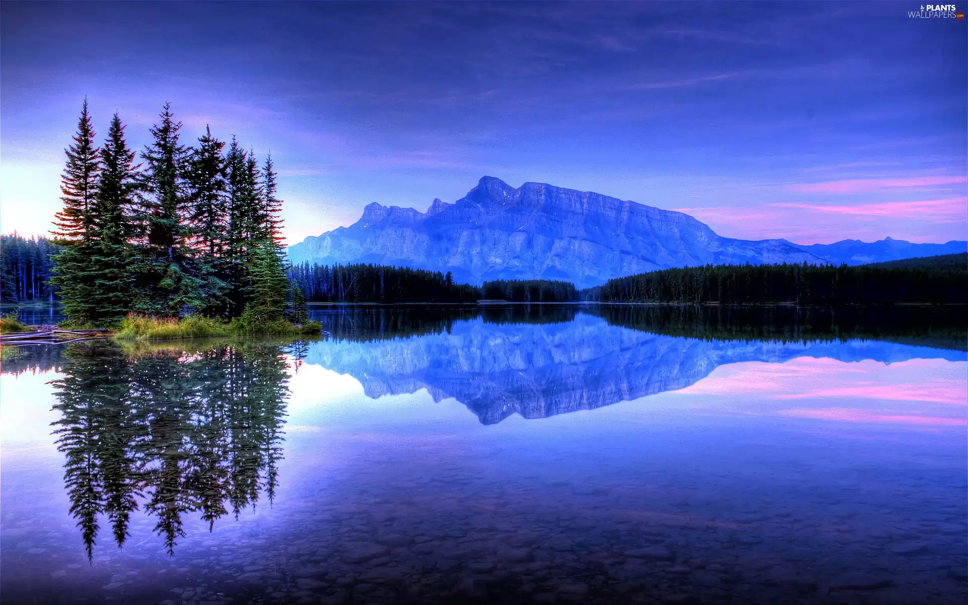 lake, reflection, trees, viewes, Mountains
