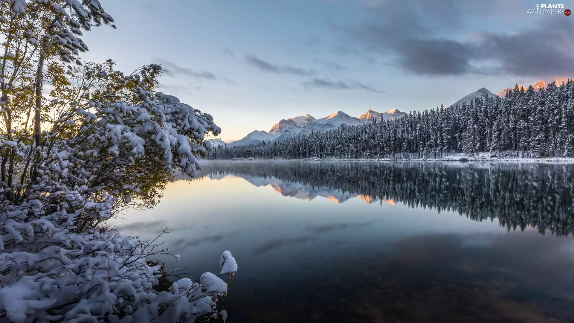 trees, viewes, reflection, forest, clouds, Mountains, winter, lake