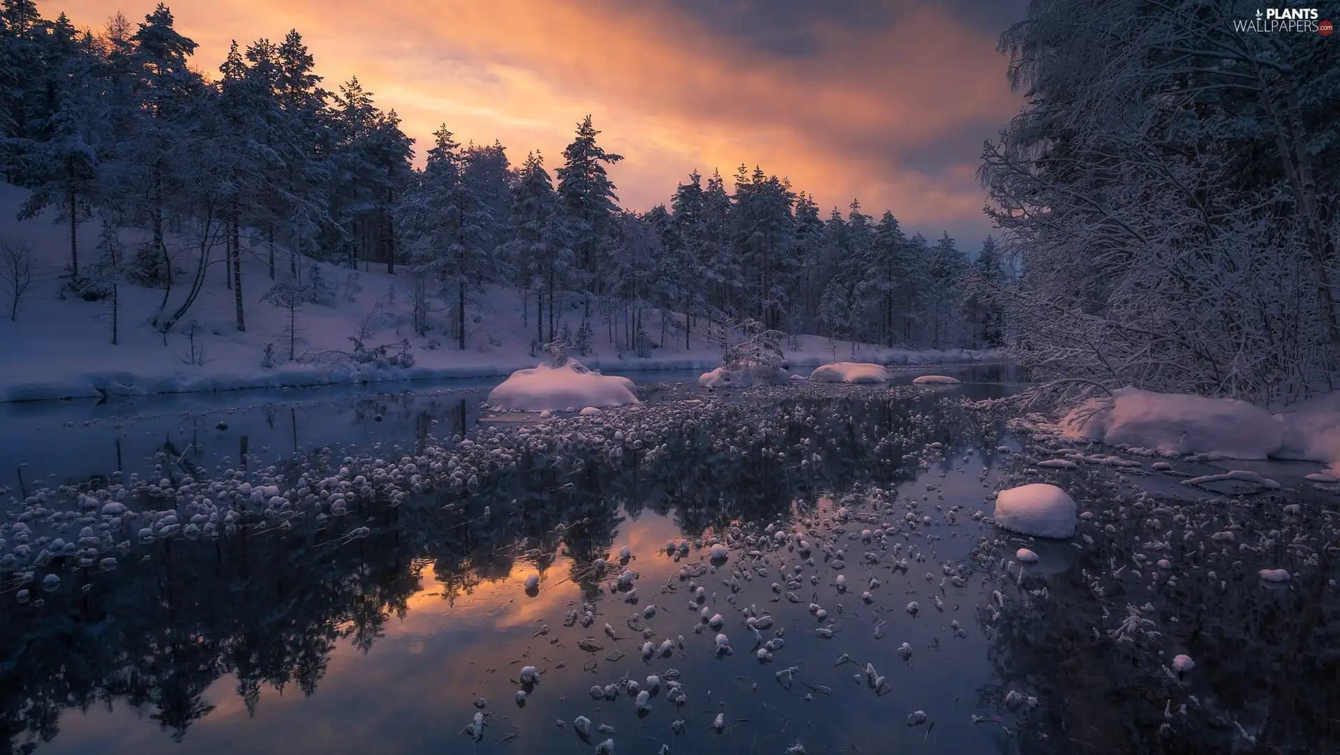 trees, Norway, winter, lake, viewes, Ringerike