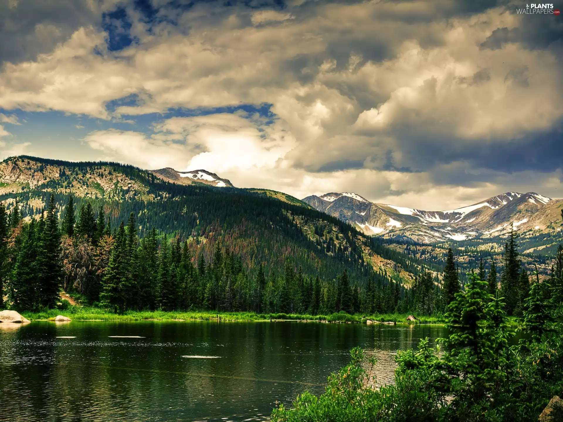 Sky, Fir, Mountains, lake