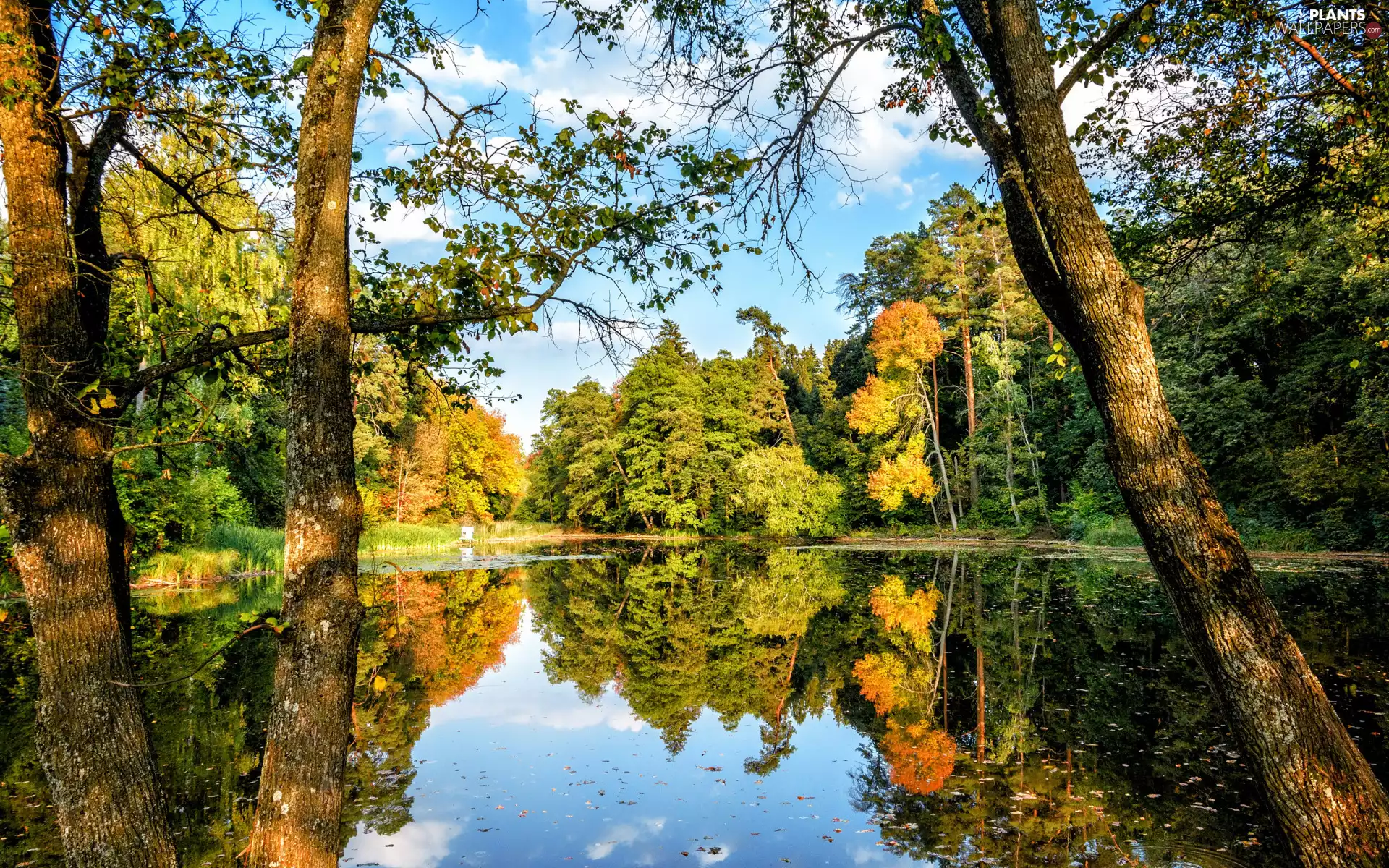 clouds, autumn, viewes, lake, trees, Sky
