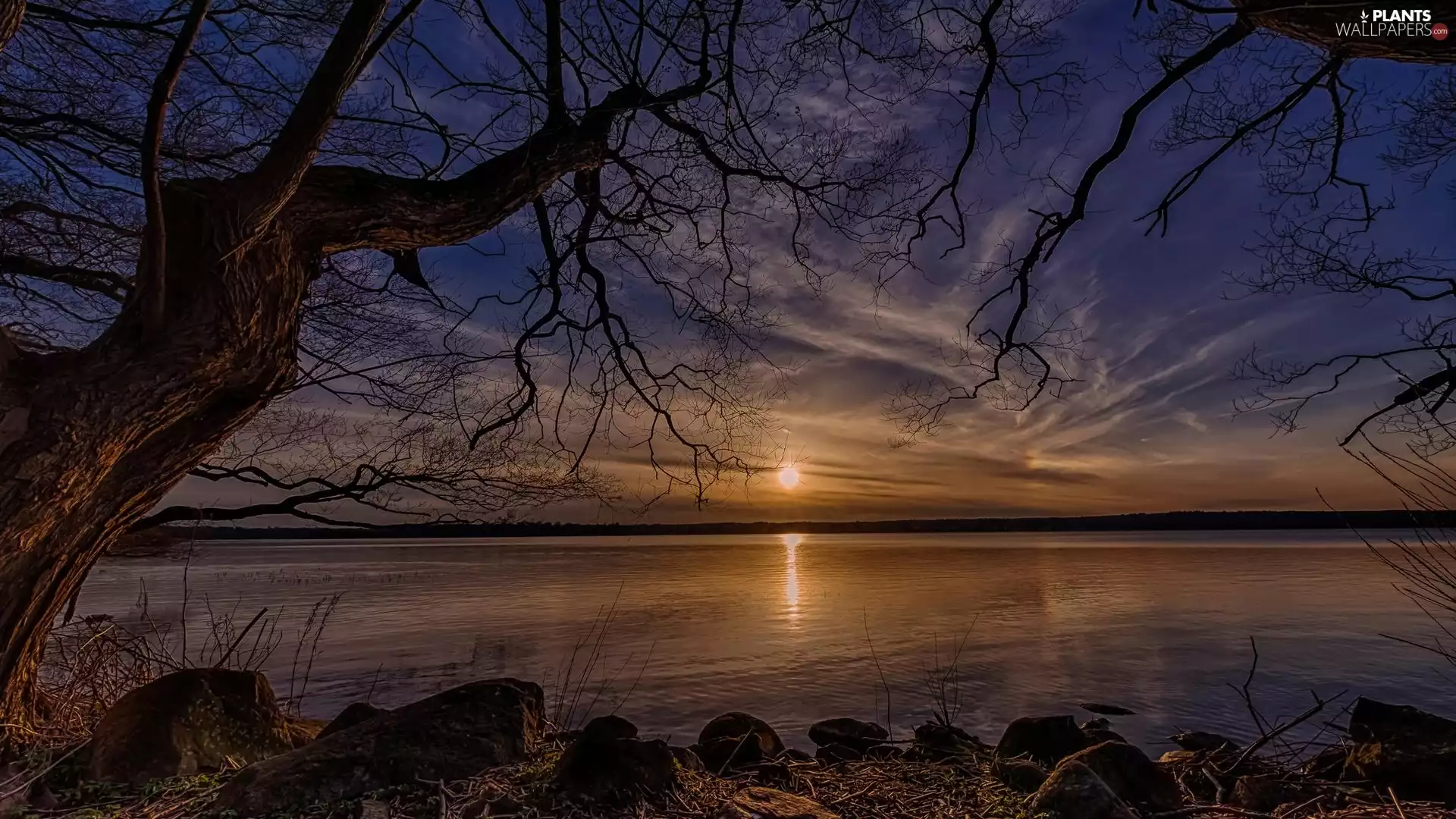 Stones, lake, sun, trees, west