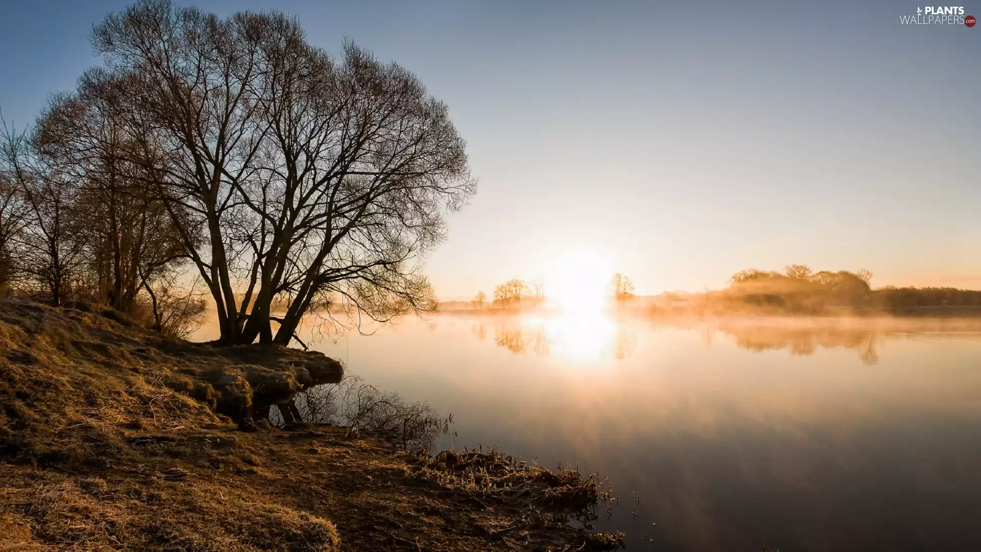 Sunrise, trees, viewes, lake
