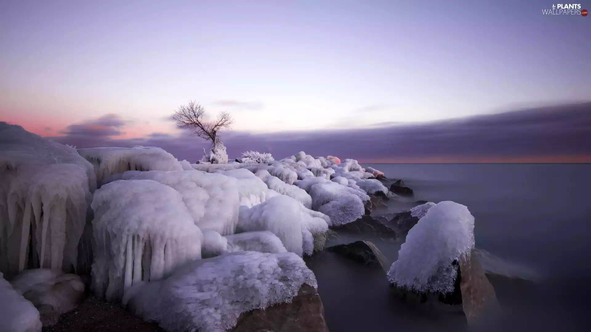 Stones, trees, winter, lake, Great Sunsets