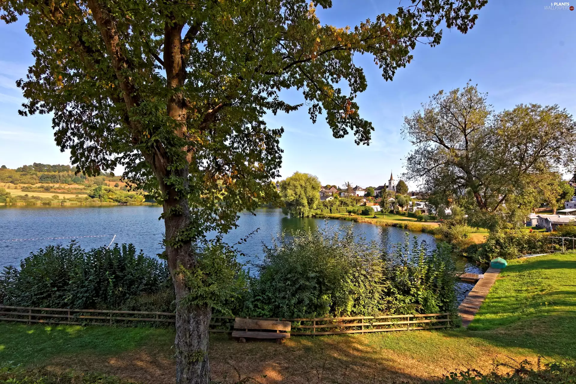 Town, trees, viewes, lake