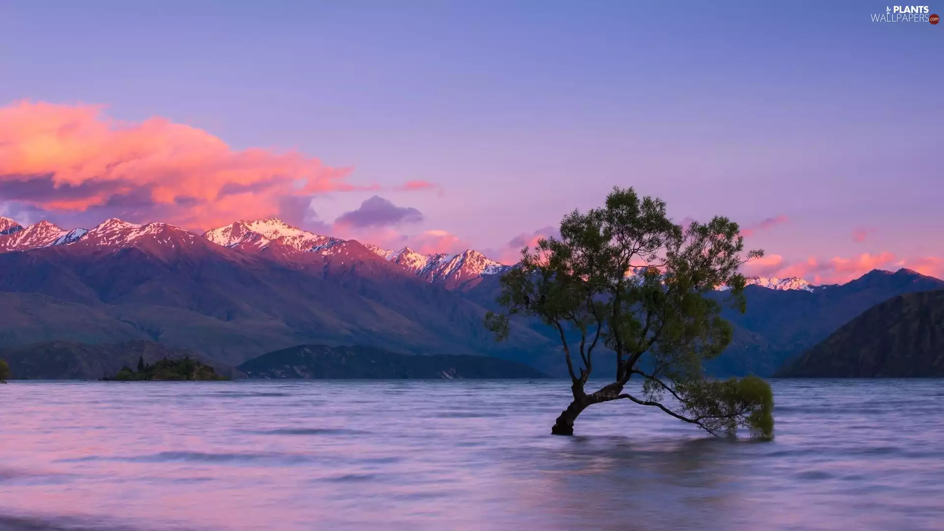 trees, Mountains, clouds, lake