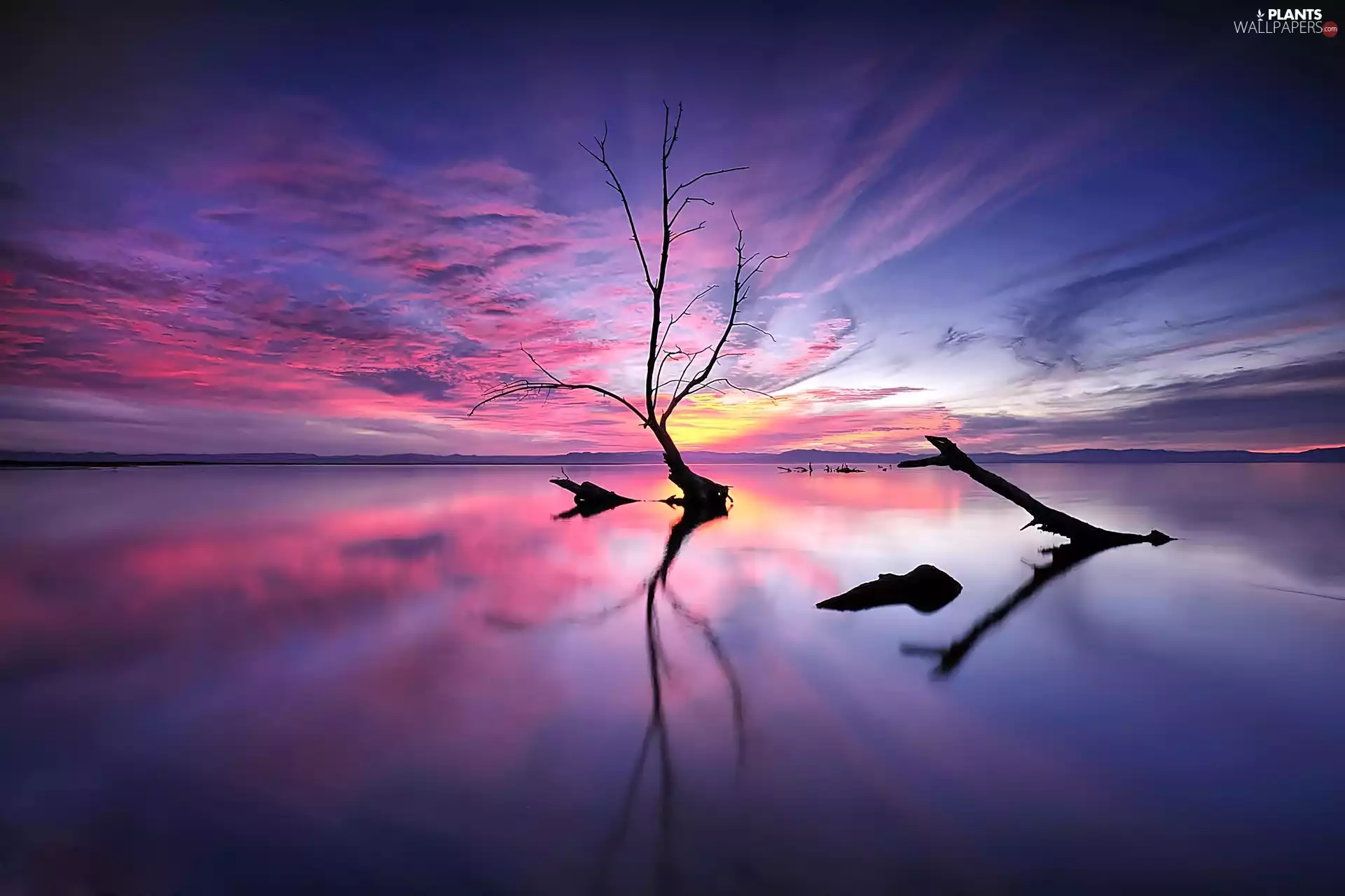ligh, The dead, viewes, flash, clouds, lake, trees, luminosity, sun, Przebijające
