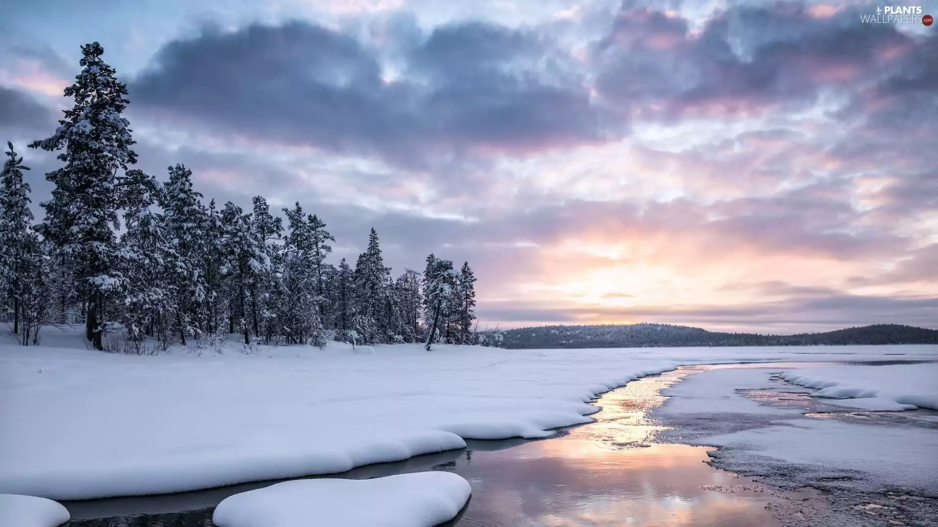 viewes, winter, frozen, lake, snow, trees