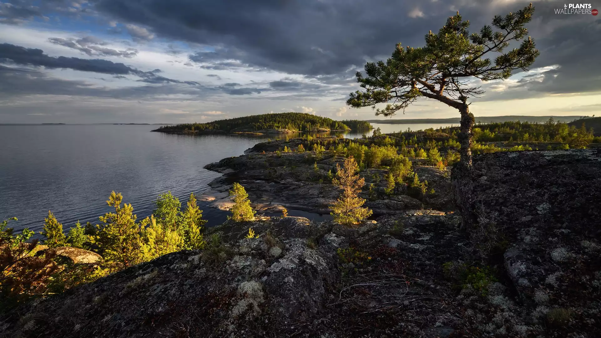 Ladoga, Karelia, trees, lake, Russia, rocks, clouds