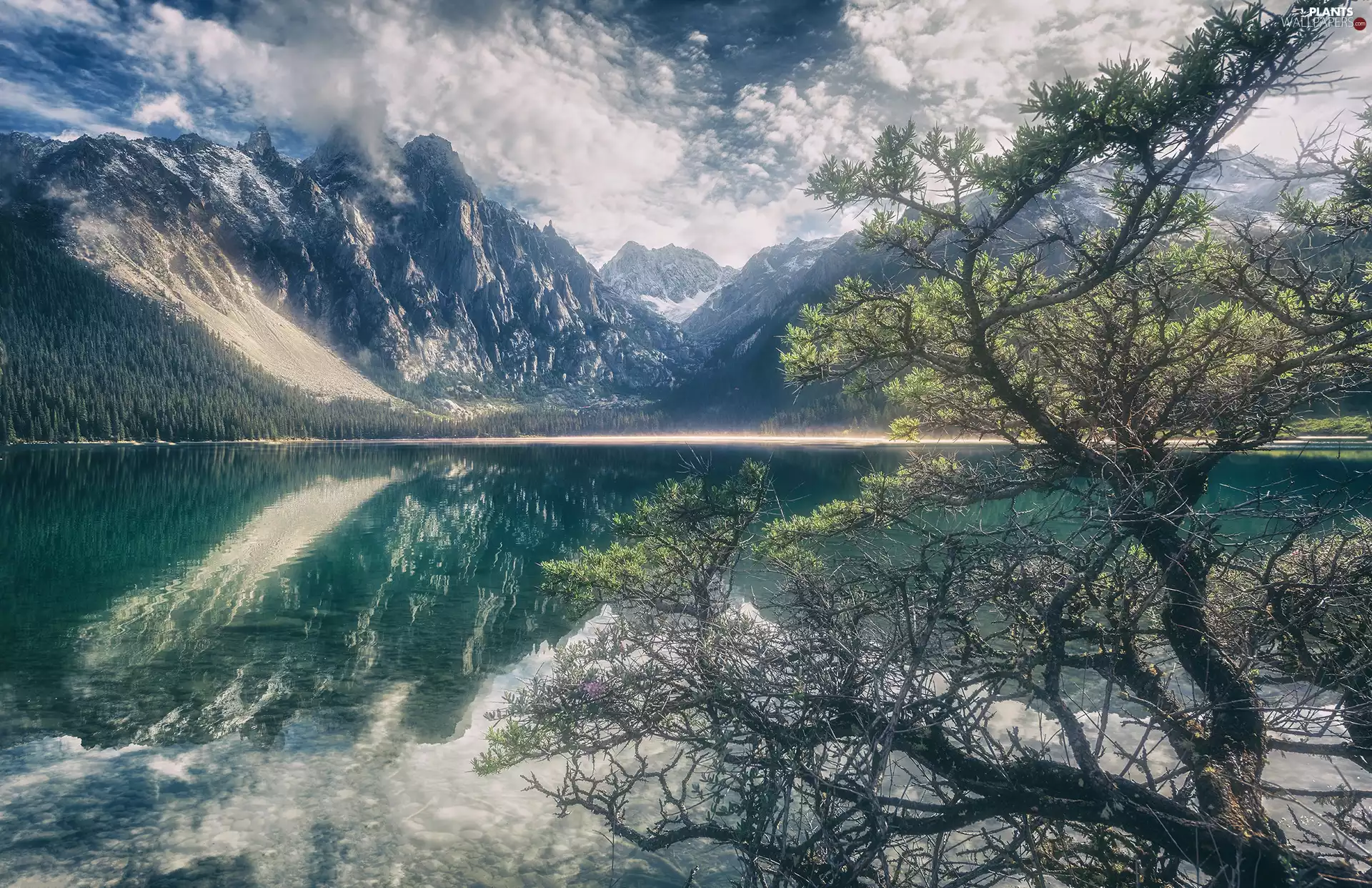 trees, Mountains, morning, lake