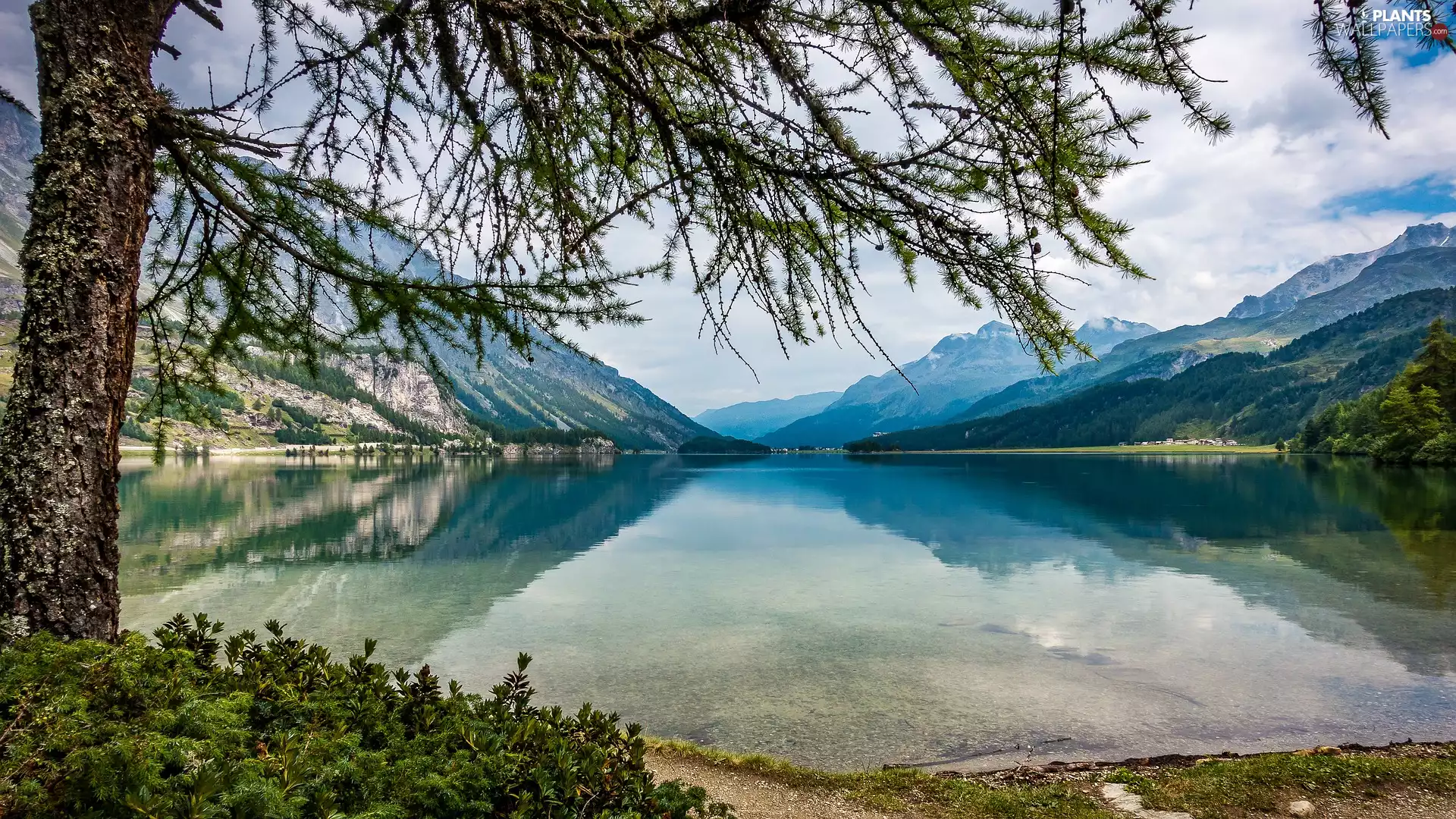 trees, Mountains, reflection, lake