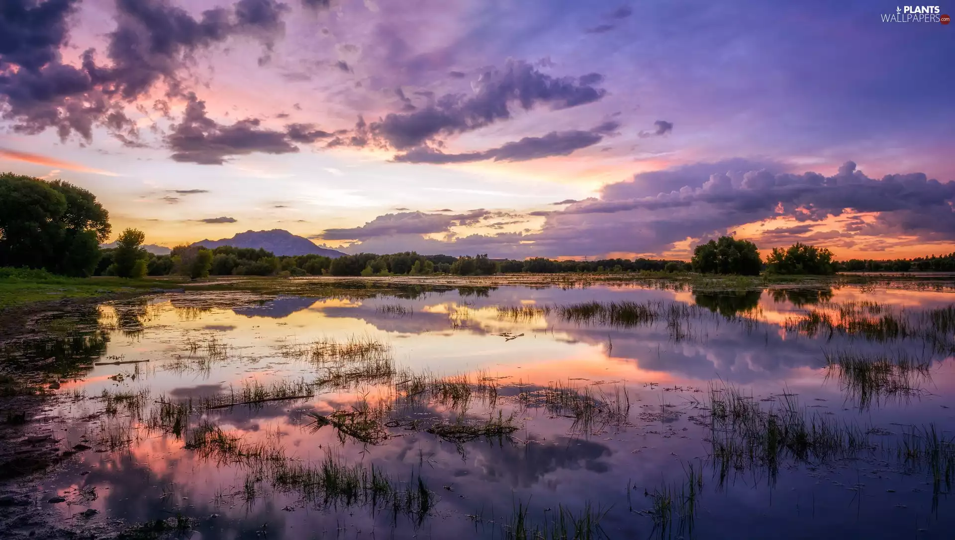 Mountains, clouds, viewes, lake, Sunrise, trees, Plants