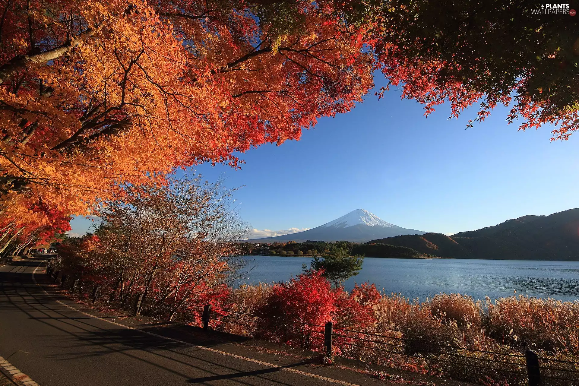 Way, mountains, viewes, lake, autumn, trees, Bush