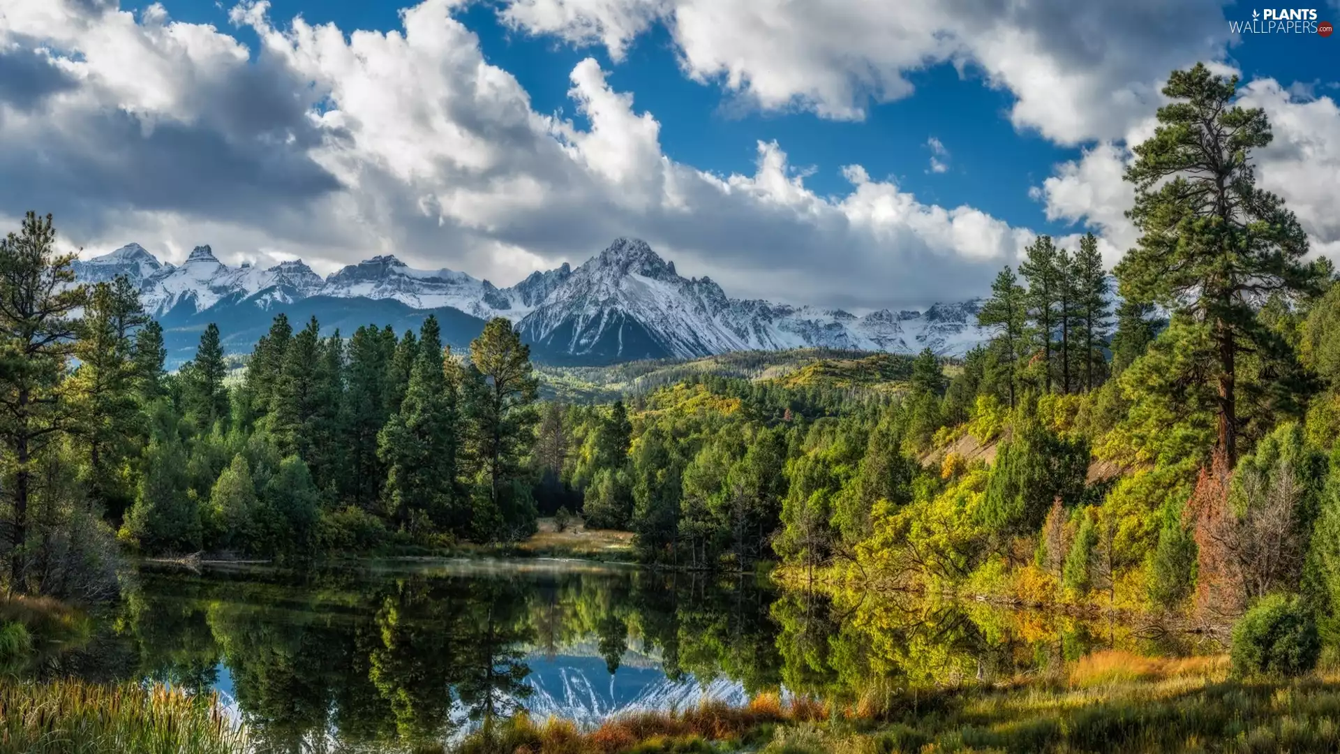 forest, Mountains, viewes, lake, Snowy, trees, clouds