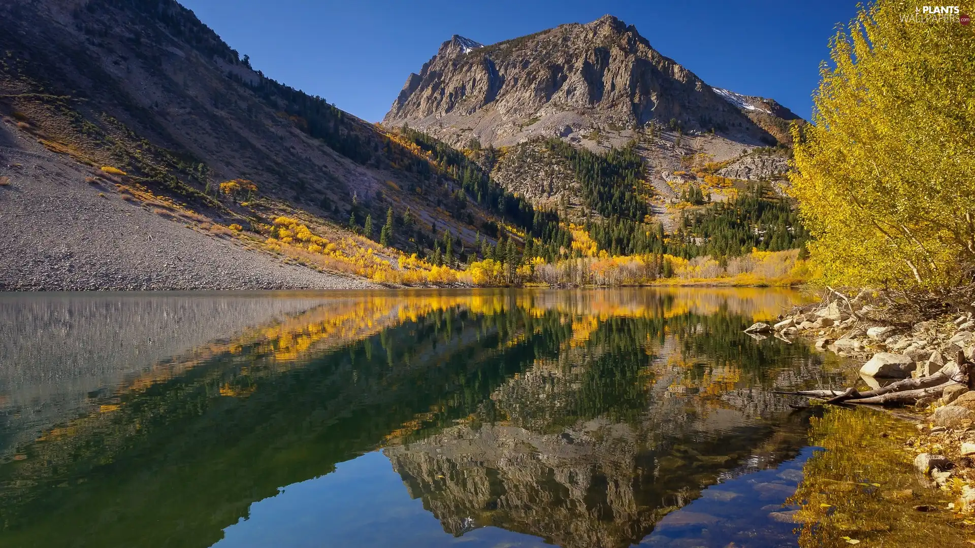 Yellowed, Mountains, viewes, lake, autumn, trees, reflection