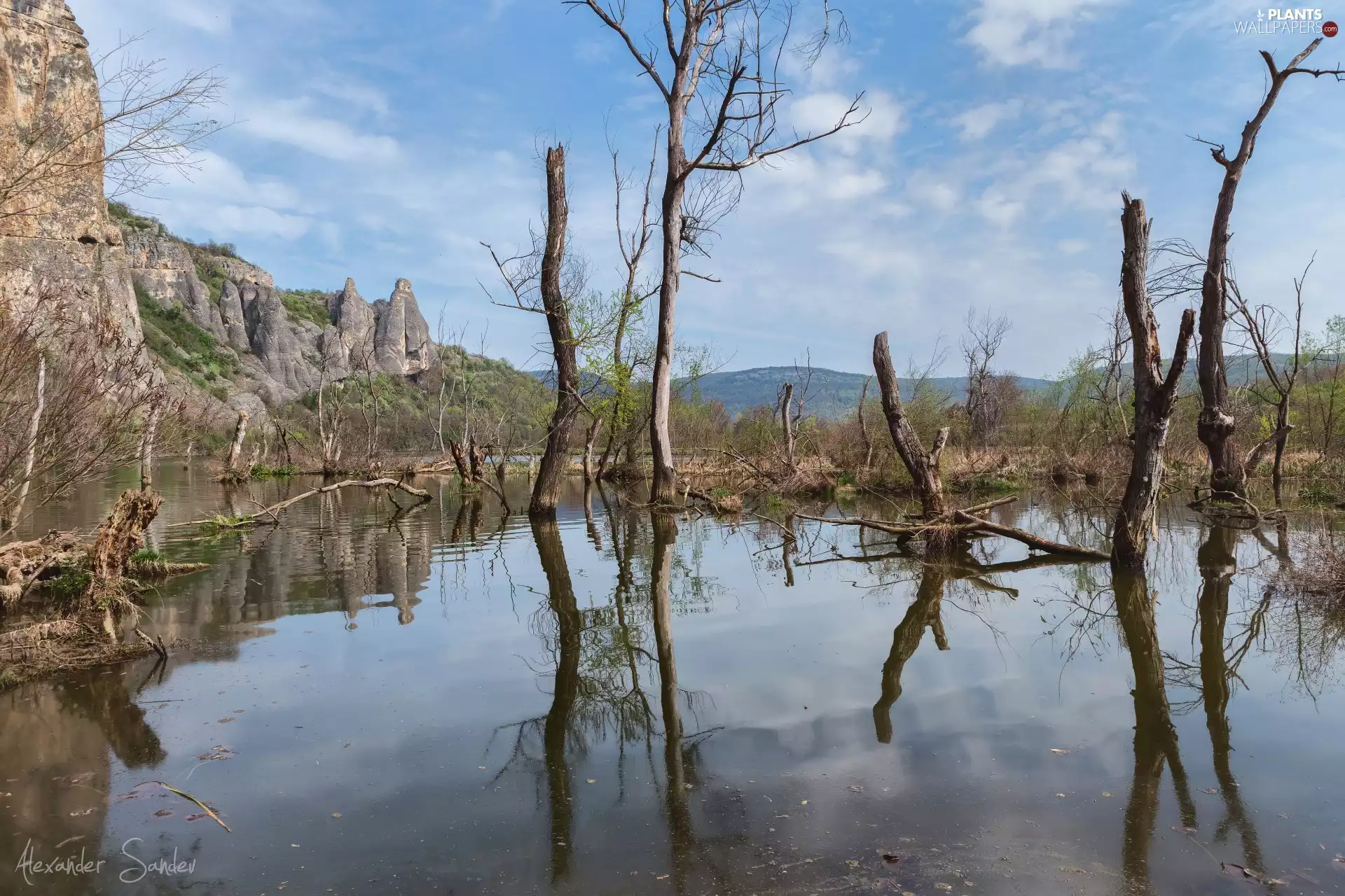 withered, rocks, viewes, lake, Mountains, trees, reflection