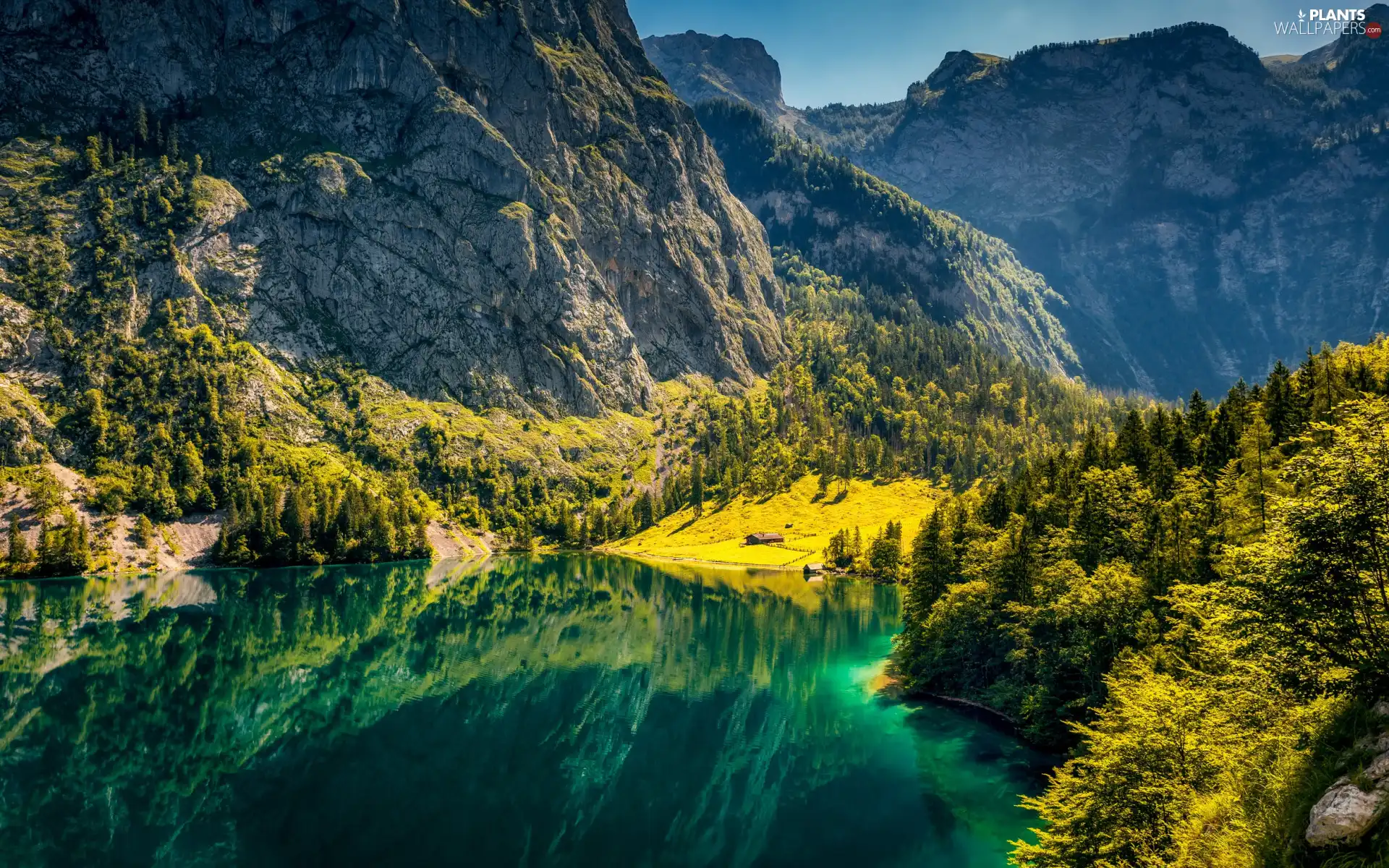 woods, rocks, viewes, lake, Mountains, trees, reflection