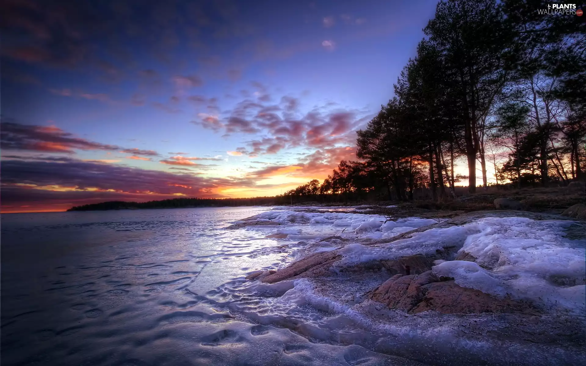 west, trees, winter, lake, sun, viewes