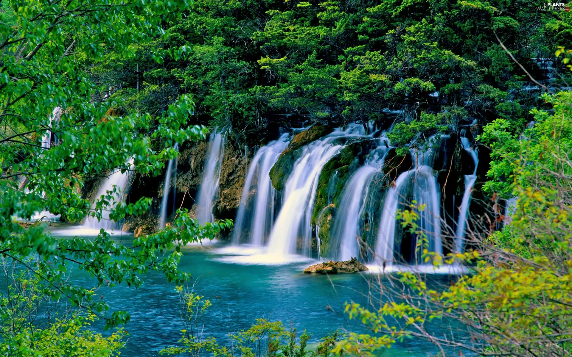 waterfalls, viewes, lake, trees